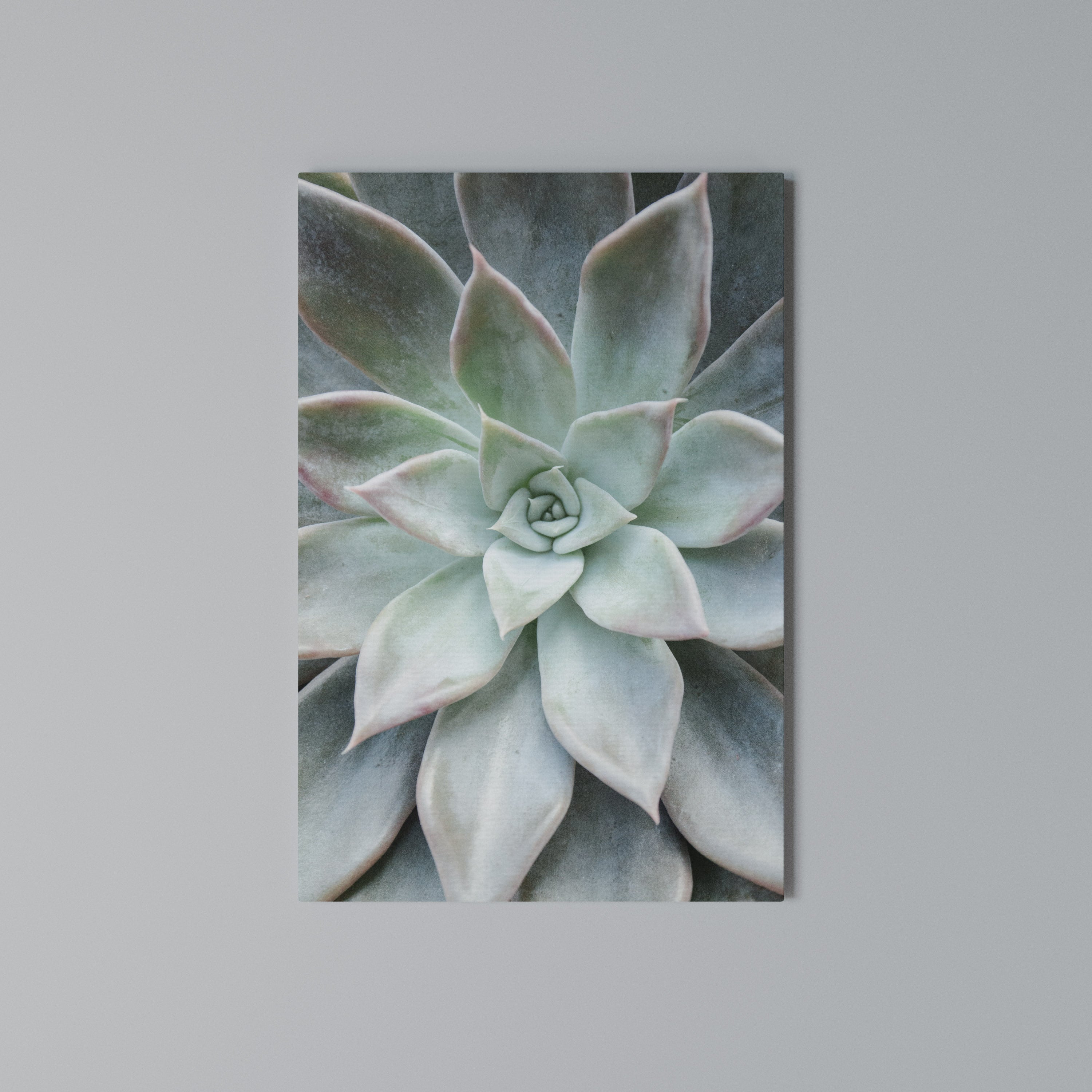 GEOMETRIC GARDEN MAGIC Κατακόρυφος Πίνακας σε Καμβά