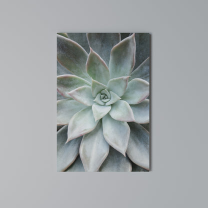 GEOMETRIC GARDEN MAGIC Κατακόρυφος Πίνακας σε Καμβά