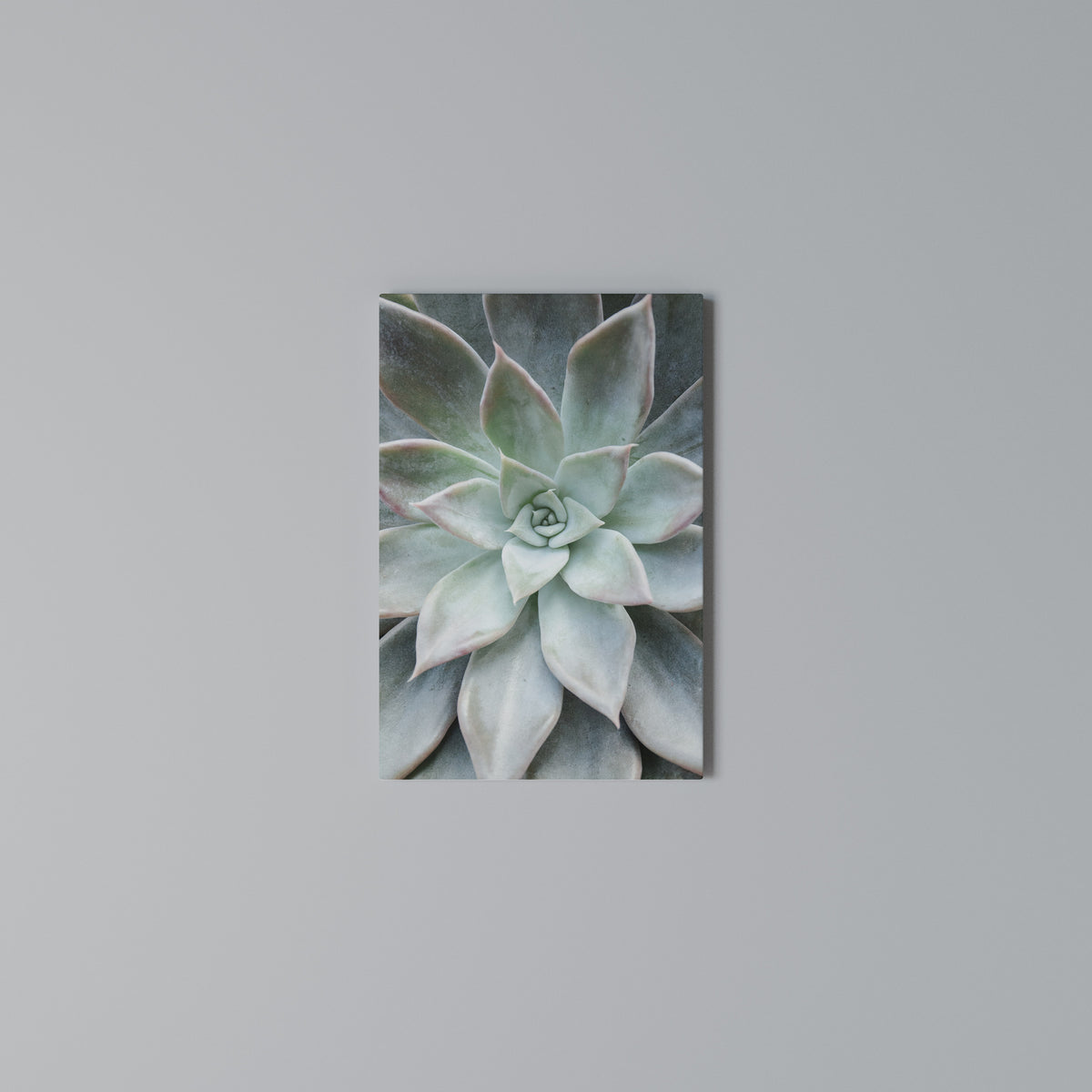 GEOMETRIC GARDEN MAGIC Κατακόρυφος Πίνακας σε Καμβά