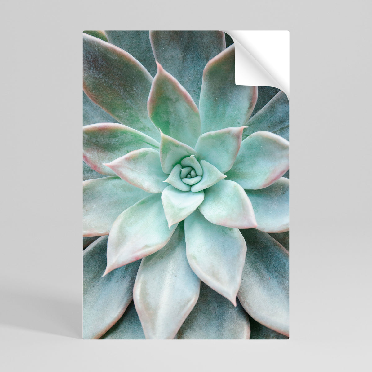GEOMETRIC GARDEN MAGIC Αυτοκόλλητη Αφίσα κάθετη