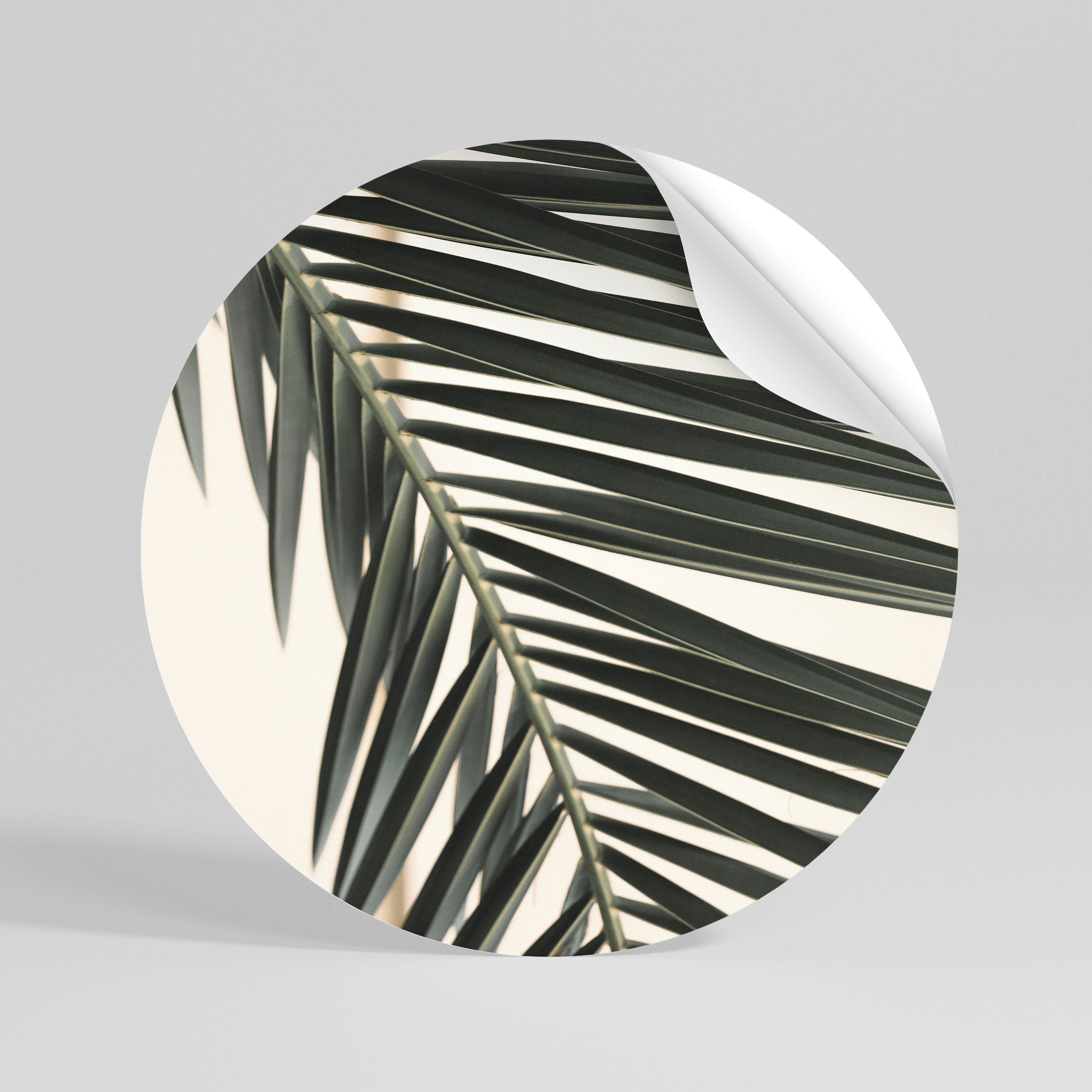 PALM SYMPHONY Peel and Stick Round Sticker