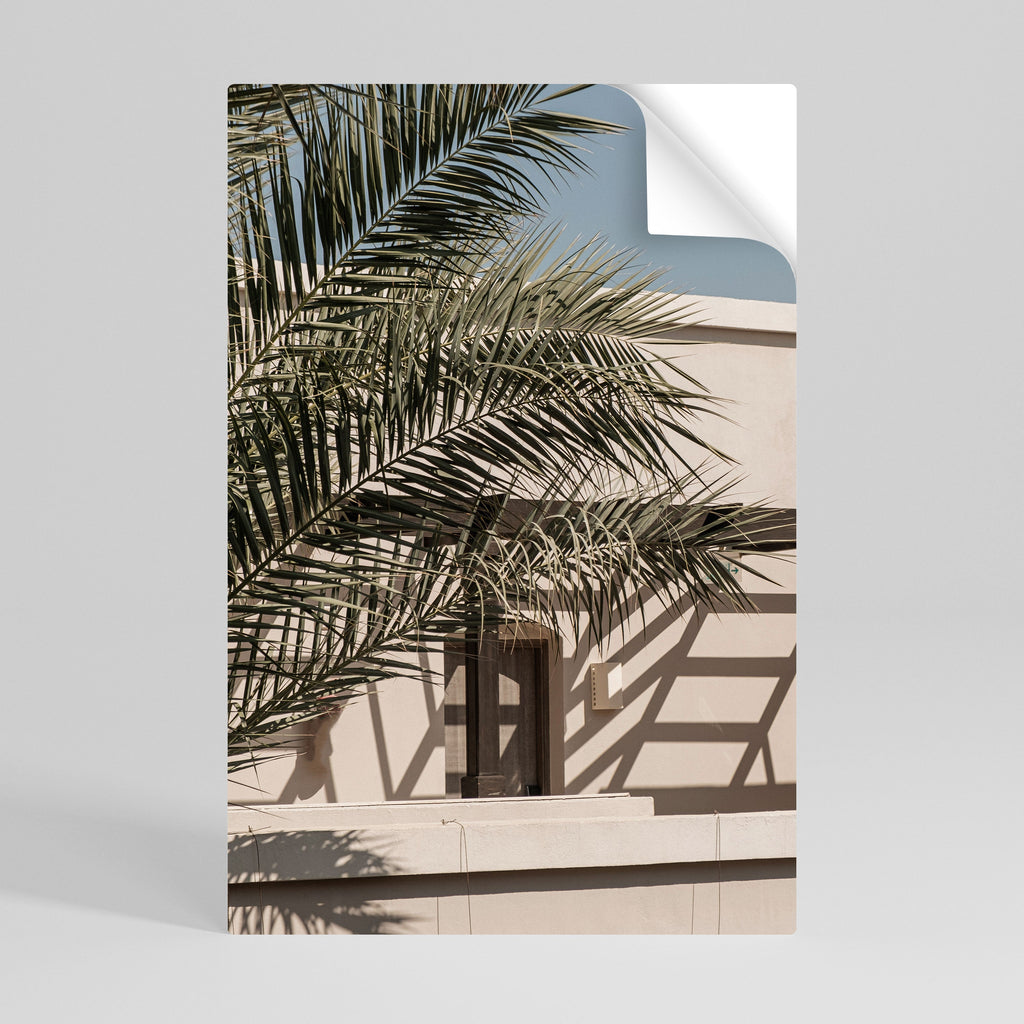 PALM SHADOW DANCE Αφίσα με κόλλα και κολλήματα