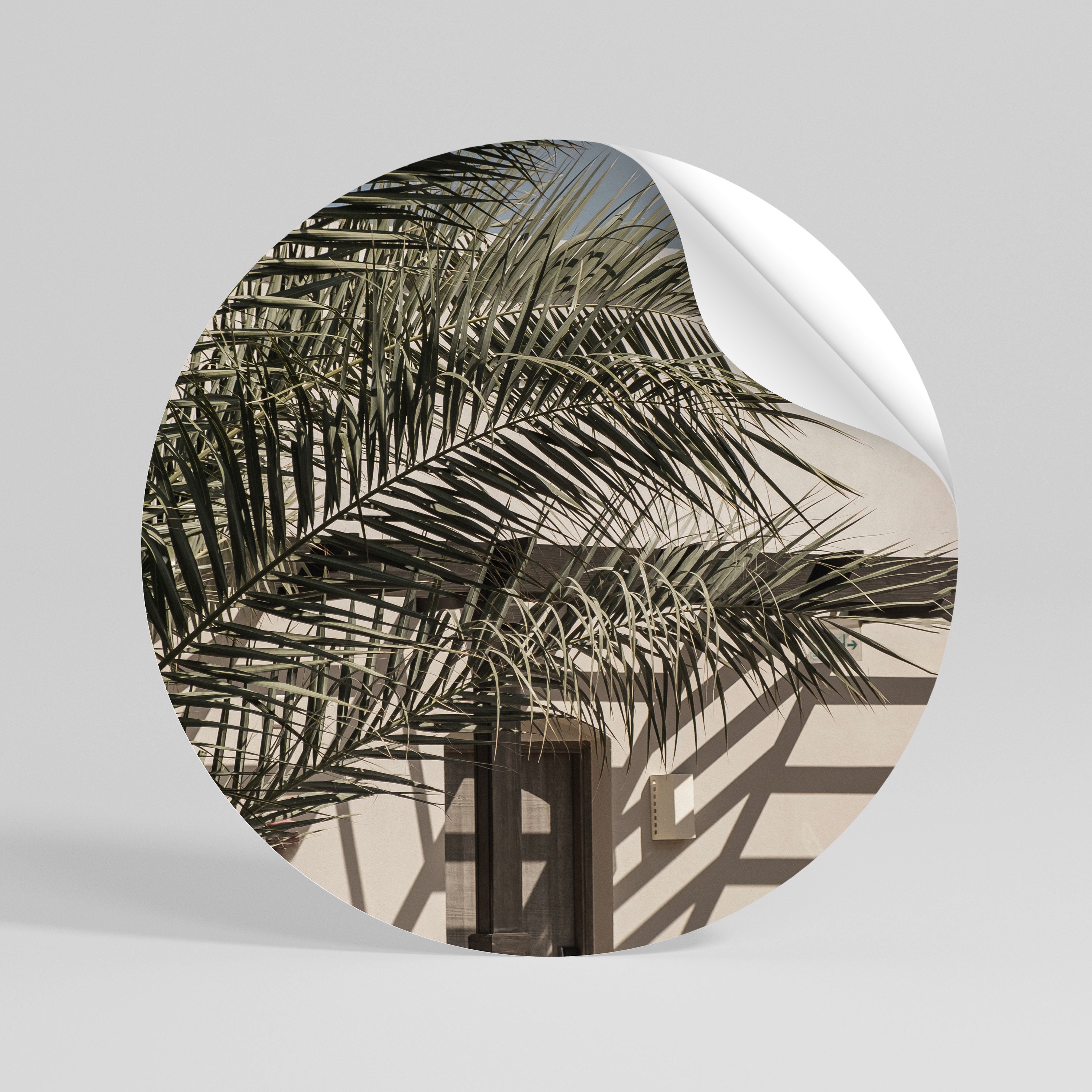 PALM SHADOW DANCE Peel and Stick Round Sticker