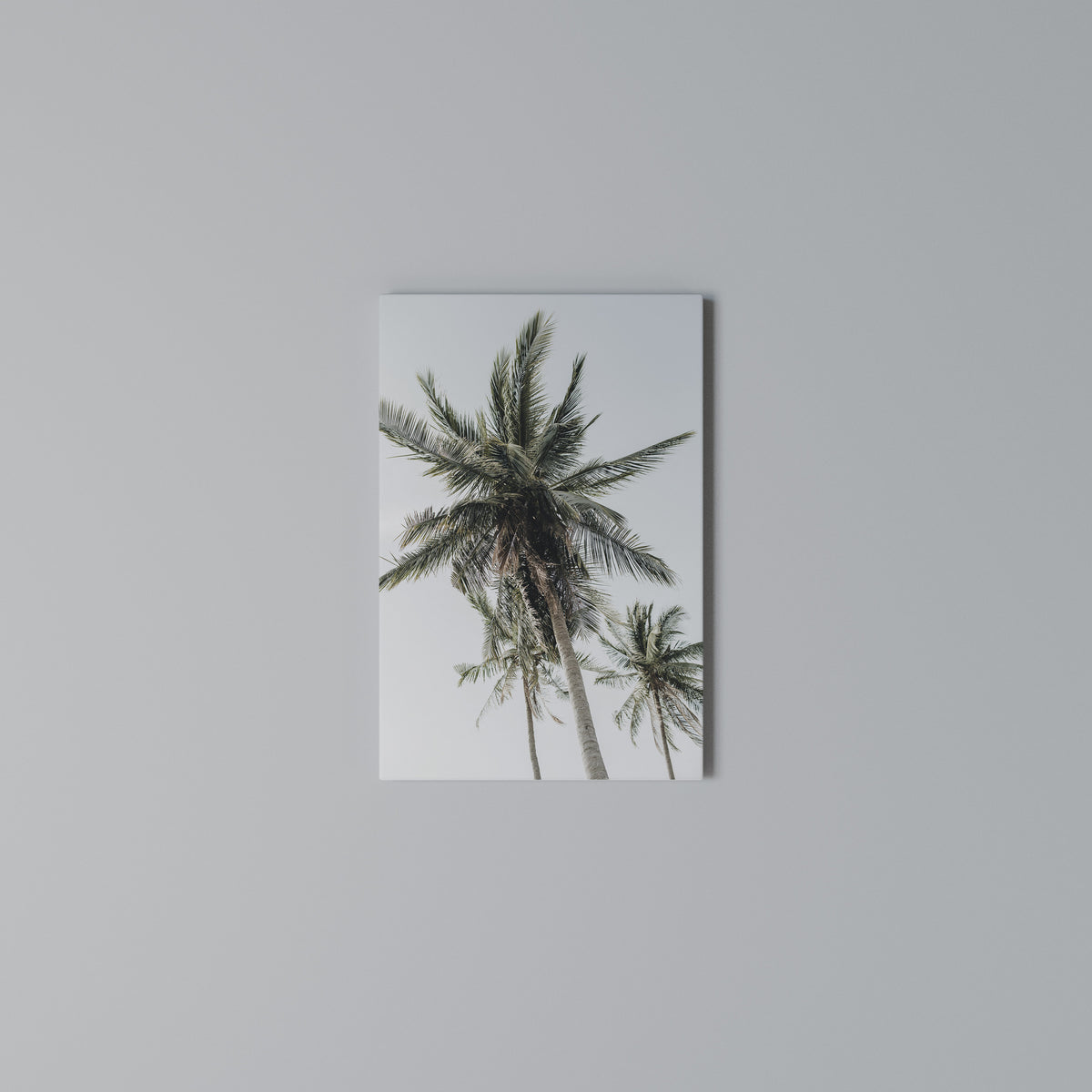 PALM PARADISE SIGHT Κατακόρυφος Πίνακας σε Καμβά