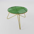 VEINS OF LIFE Coffee Table