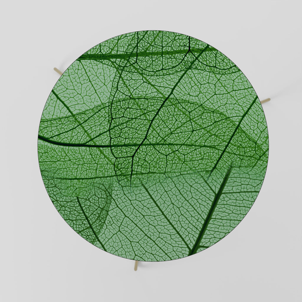 VEINS OF LIFE Coffee Table 69