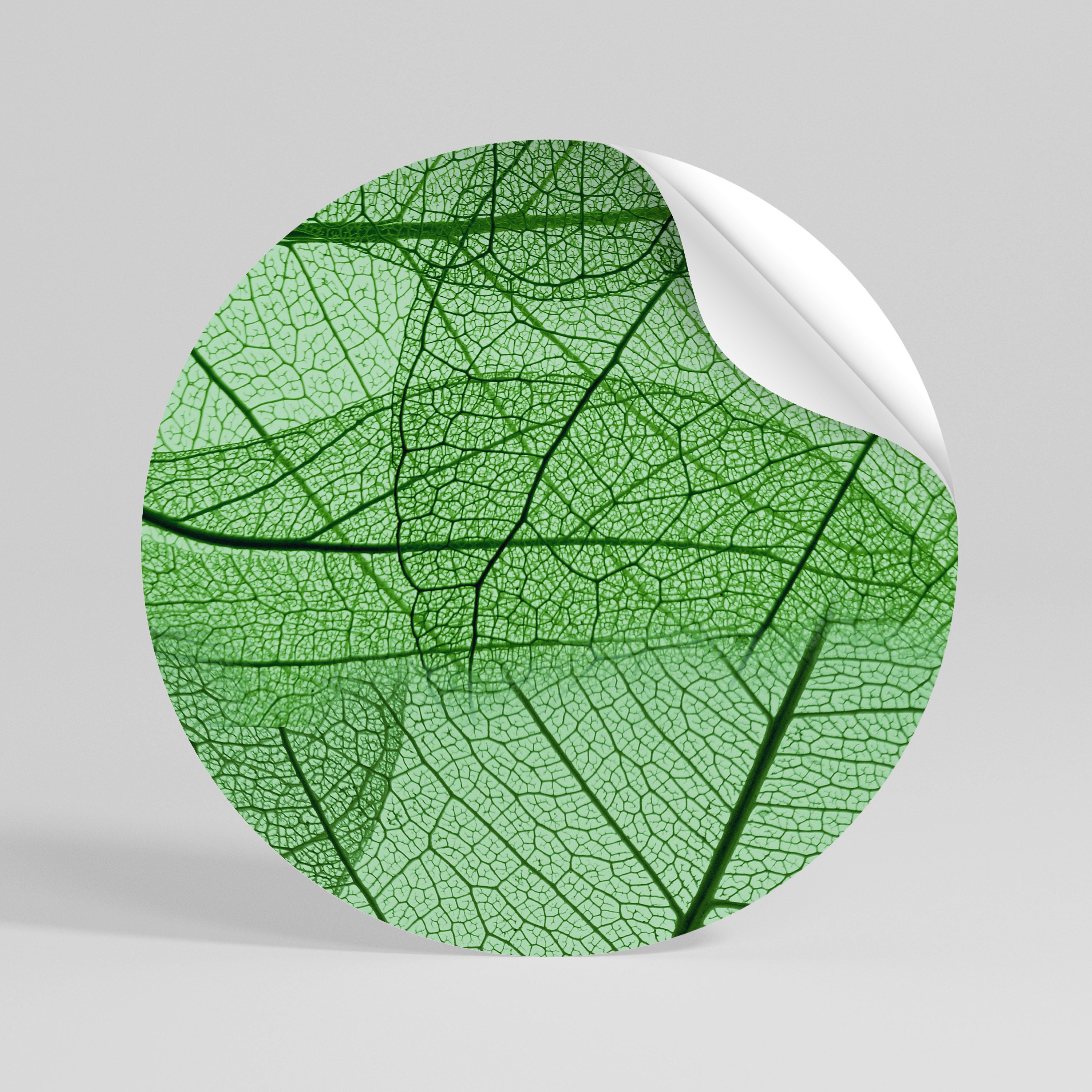 VEINS OF LIFE Peel and Stick Round Sticker