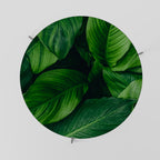 VIBRANT LEAFY EMBRACE Coffee Table