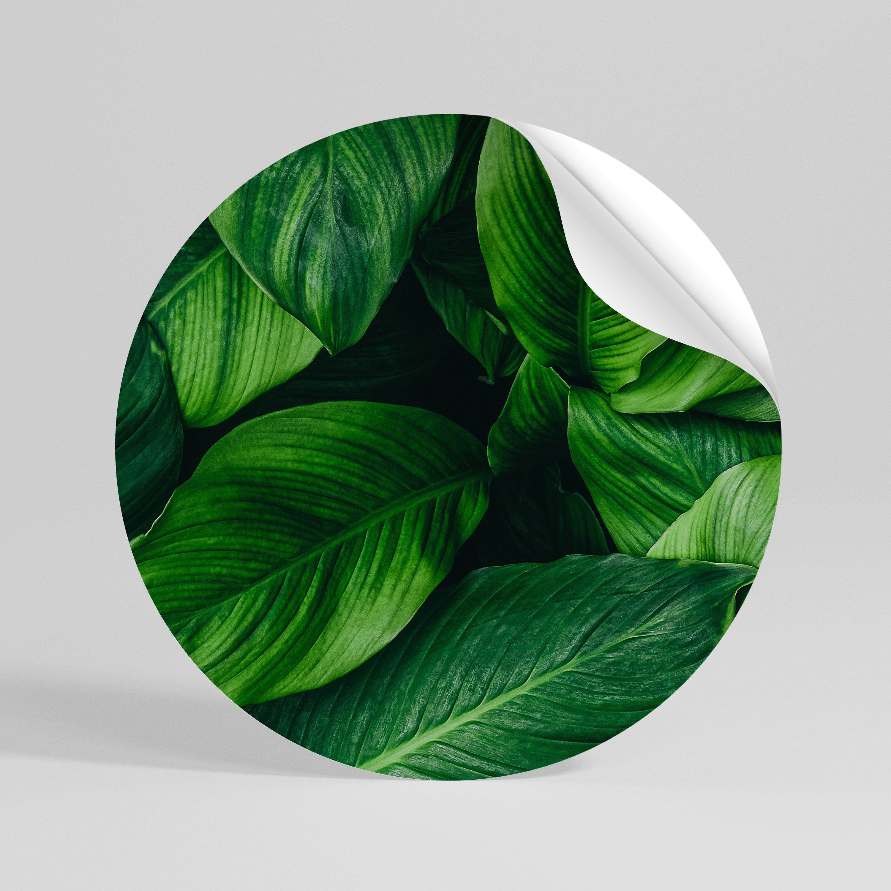 VIBRANT LEAFY EMBRACE Peel and Stick Round Sticker