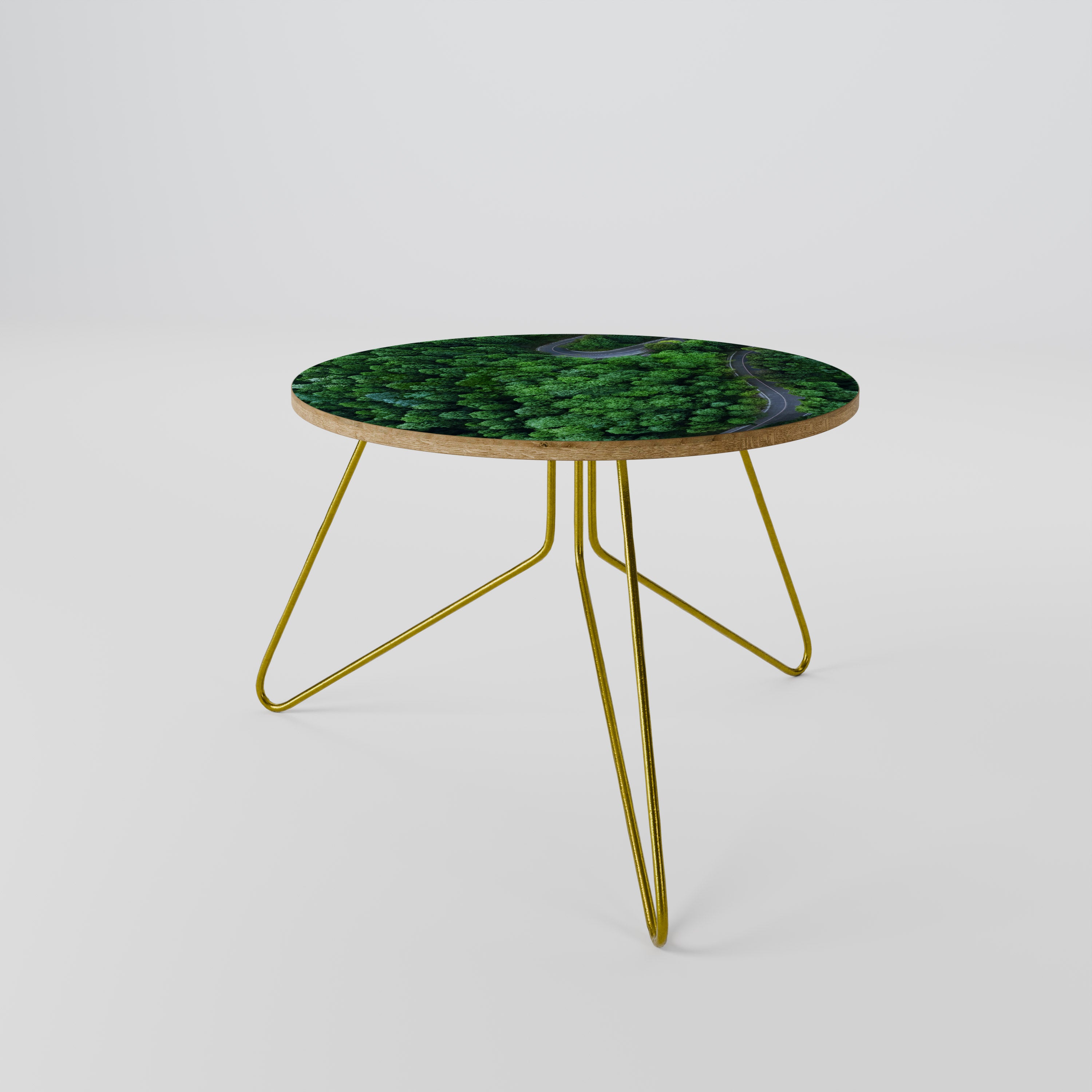 ENCHANTED FOREST RIDE Coffee Table