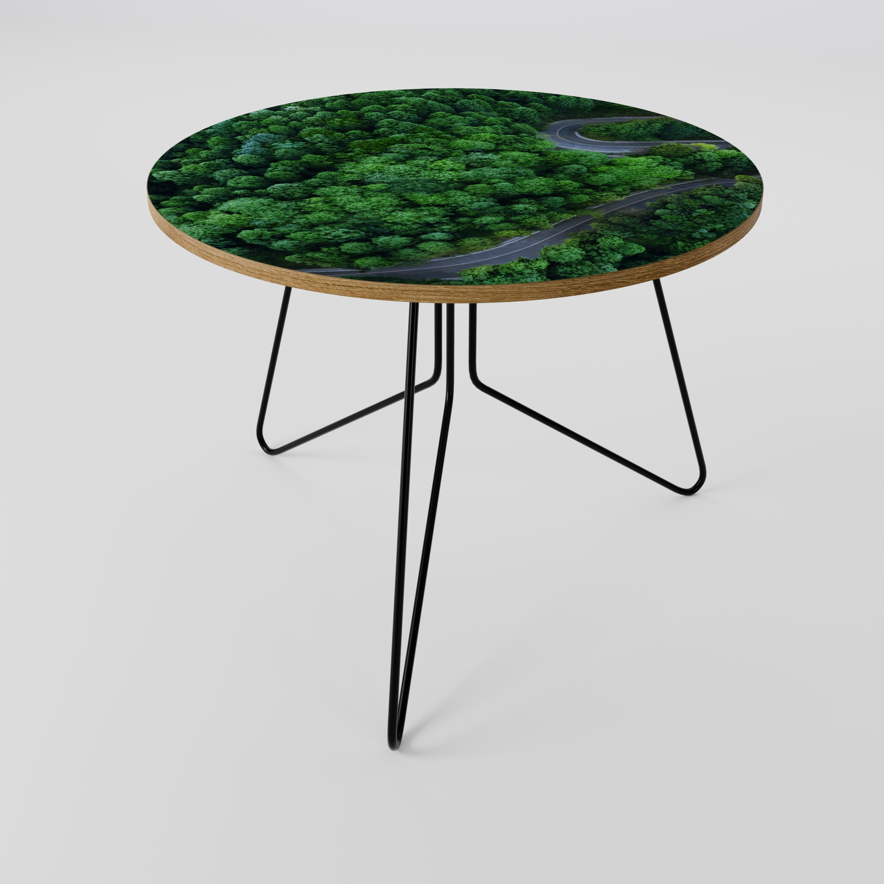 ENCHANTED FOREST RIDE Coffee Table 69