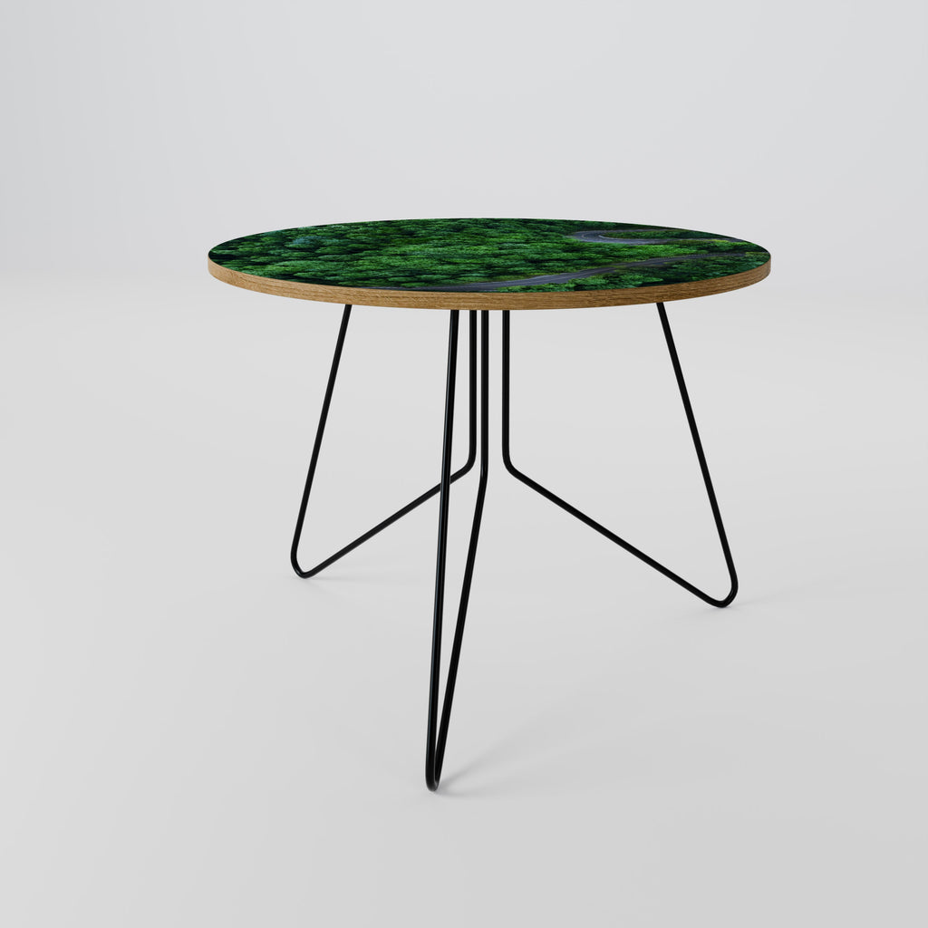ENCHANTED FOREST RIDE Coffee Table 69