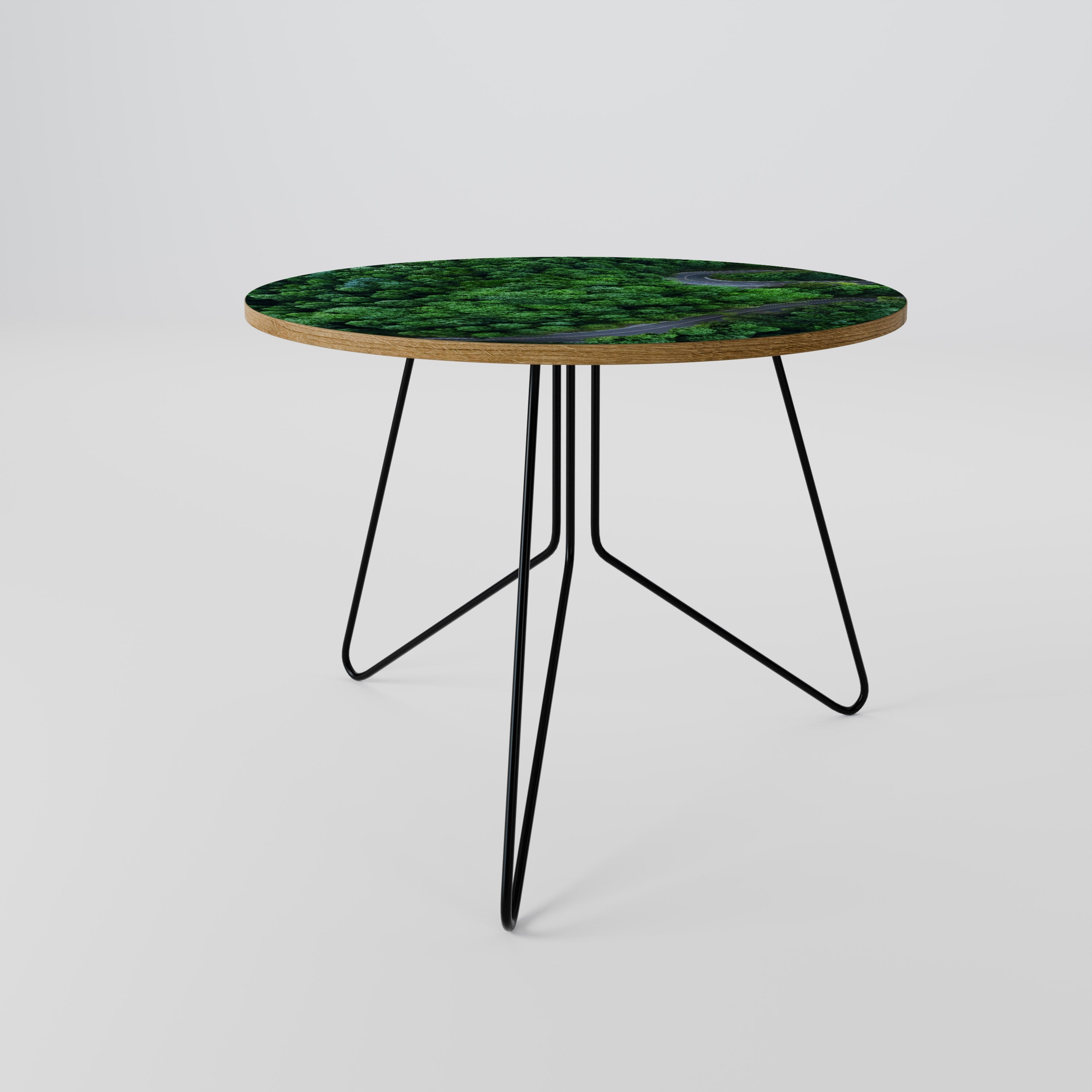 ENCHANTED FOREST RIDE Coffee Table 69