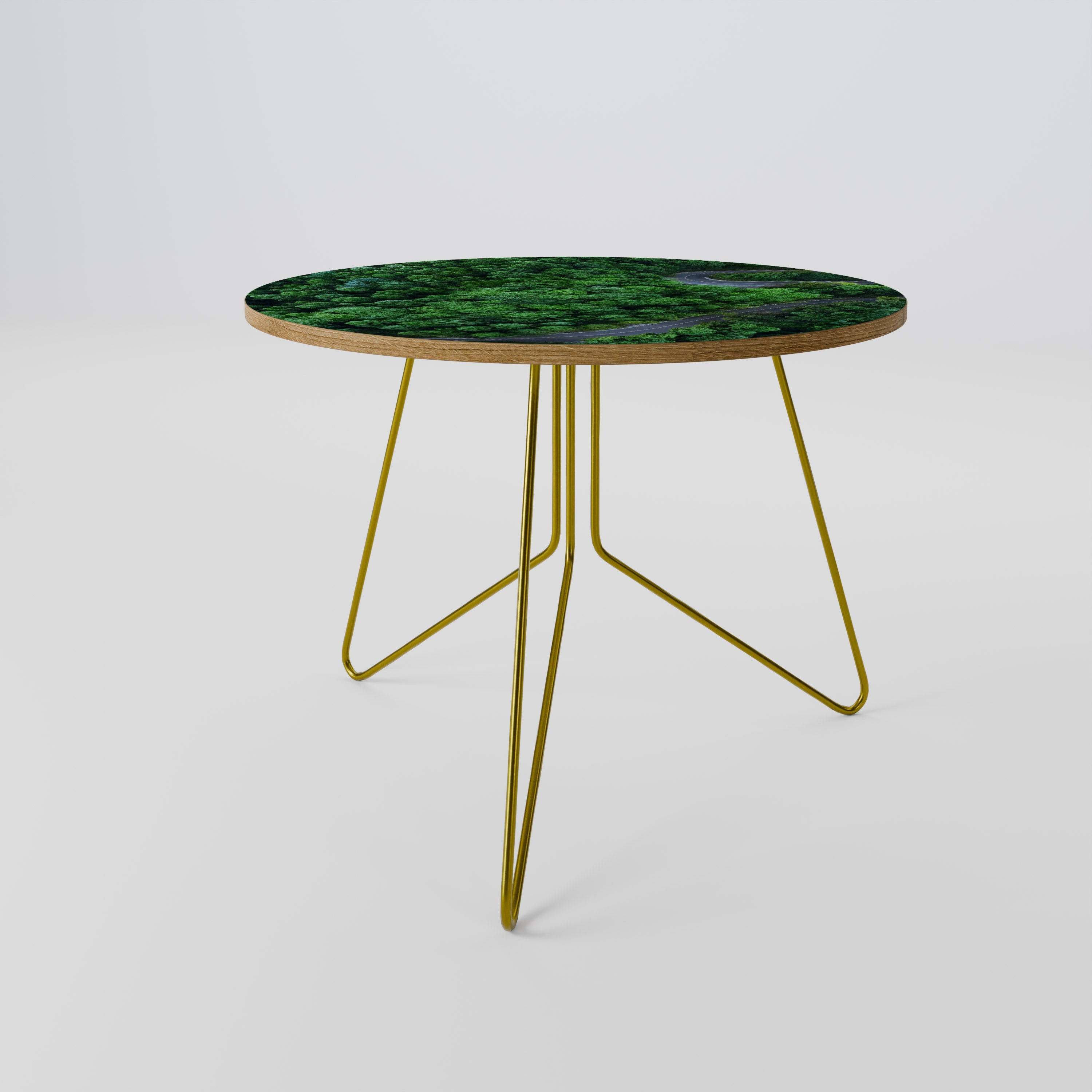ENCHANTED FOREST RIDE Coffee Table 69