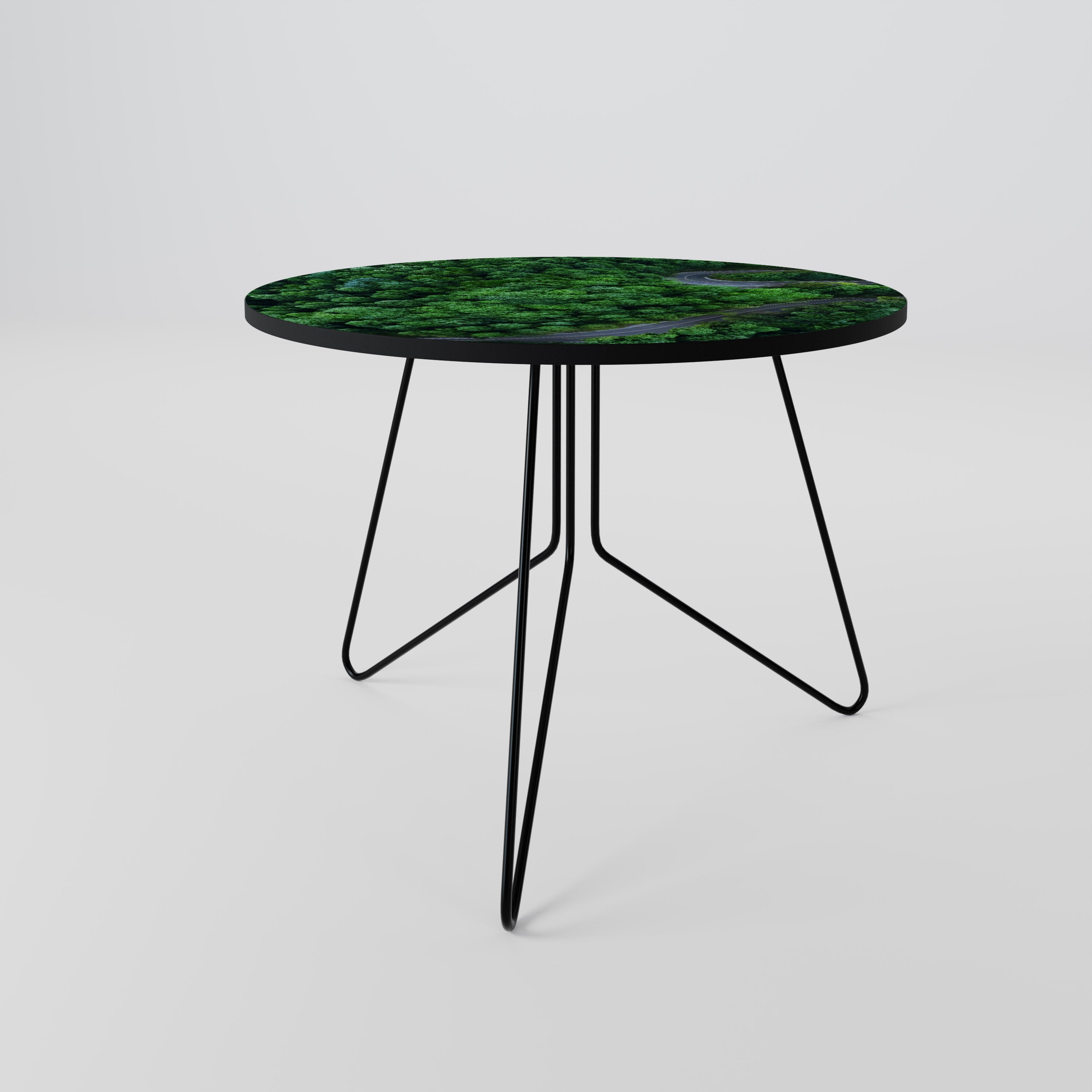 ENCHANTED FOREST RIDE Coffee Table 69