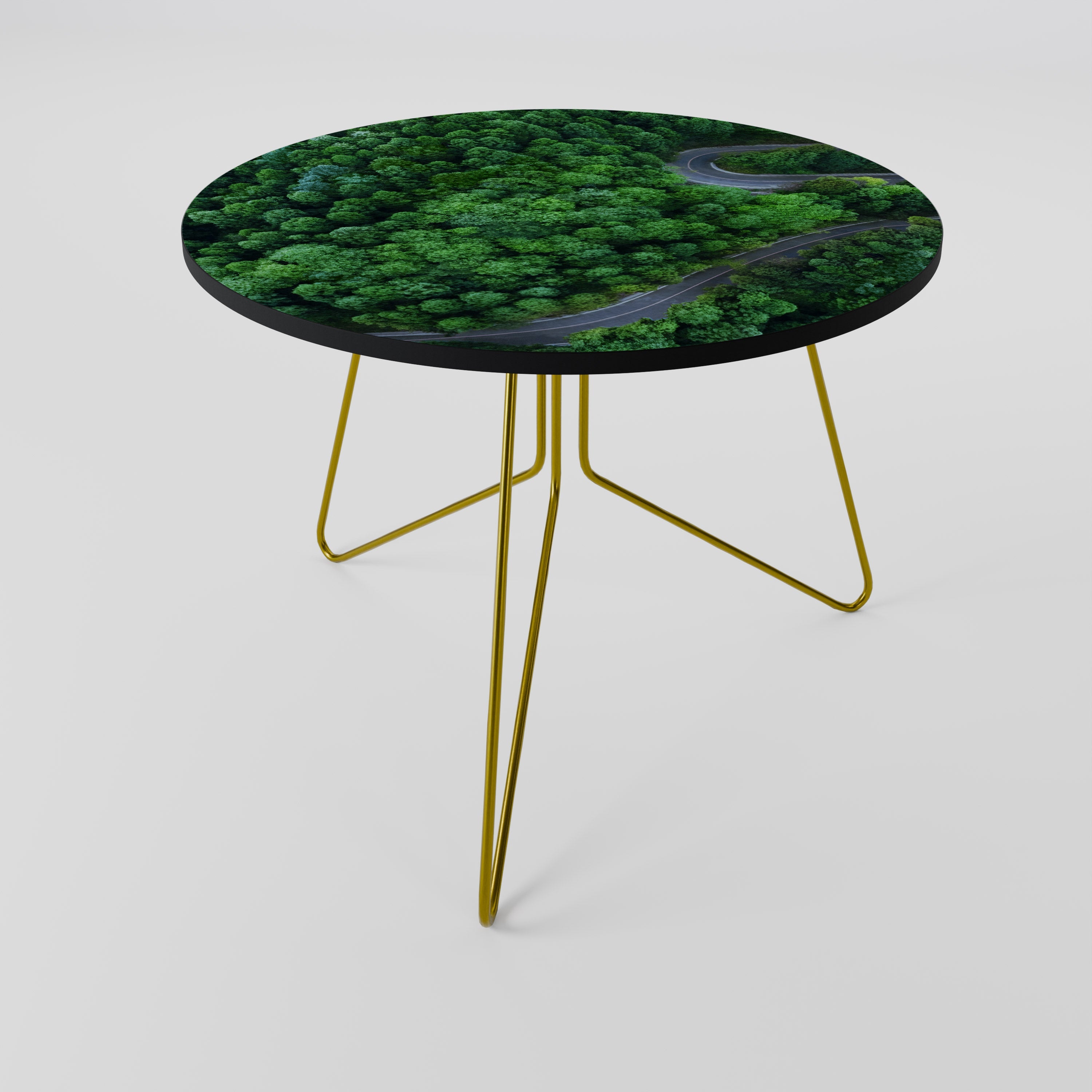 ENCHANTED FOREST RIDE Coffee Table 69