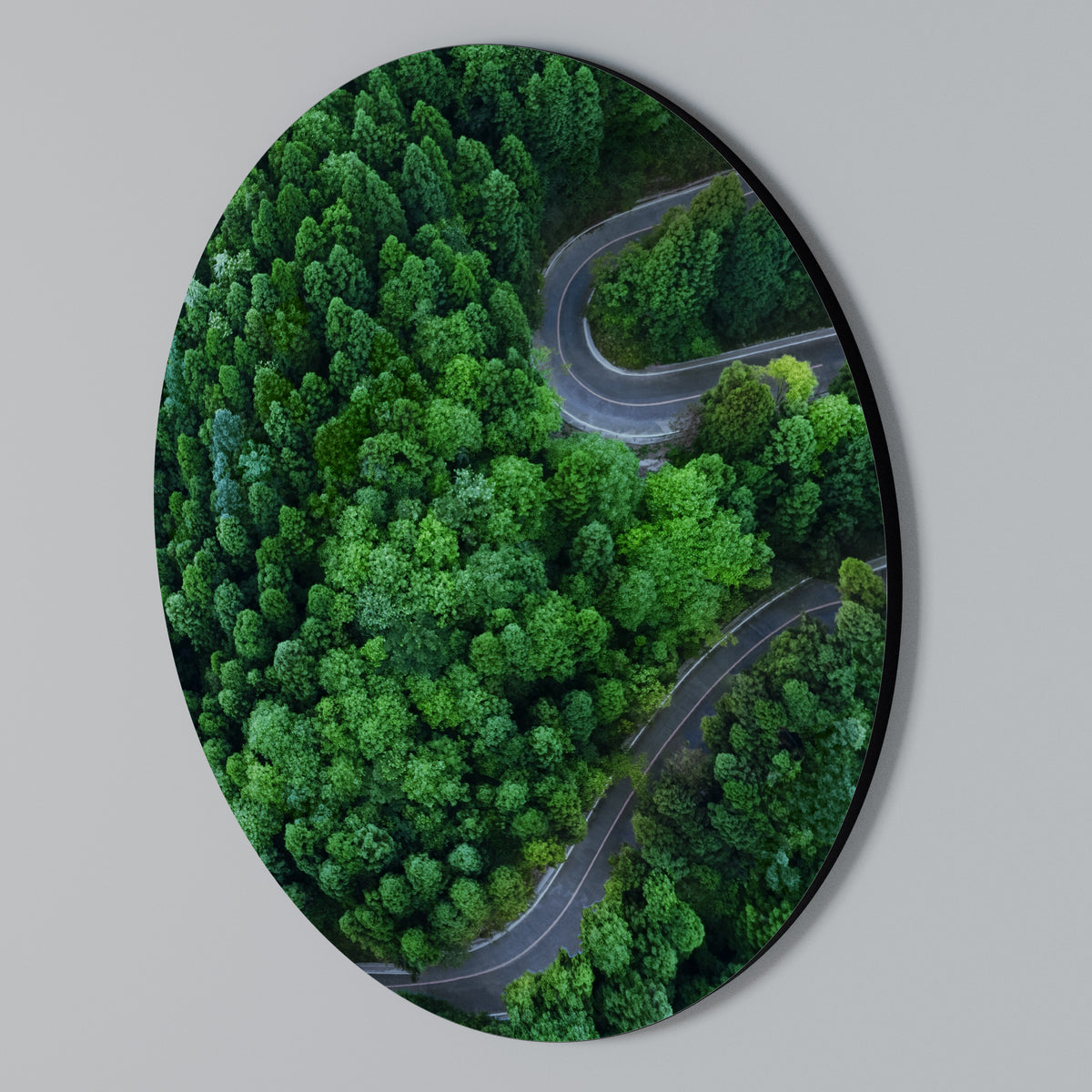 ENCHANTED FOREST RIDE Στρογγυλός πίνακας ζωγραφικής
