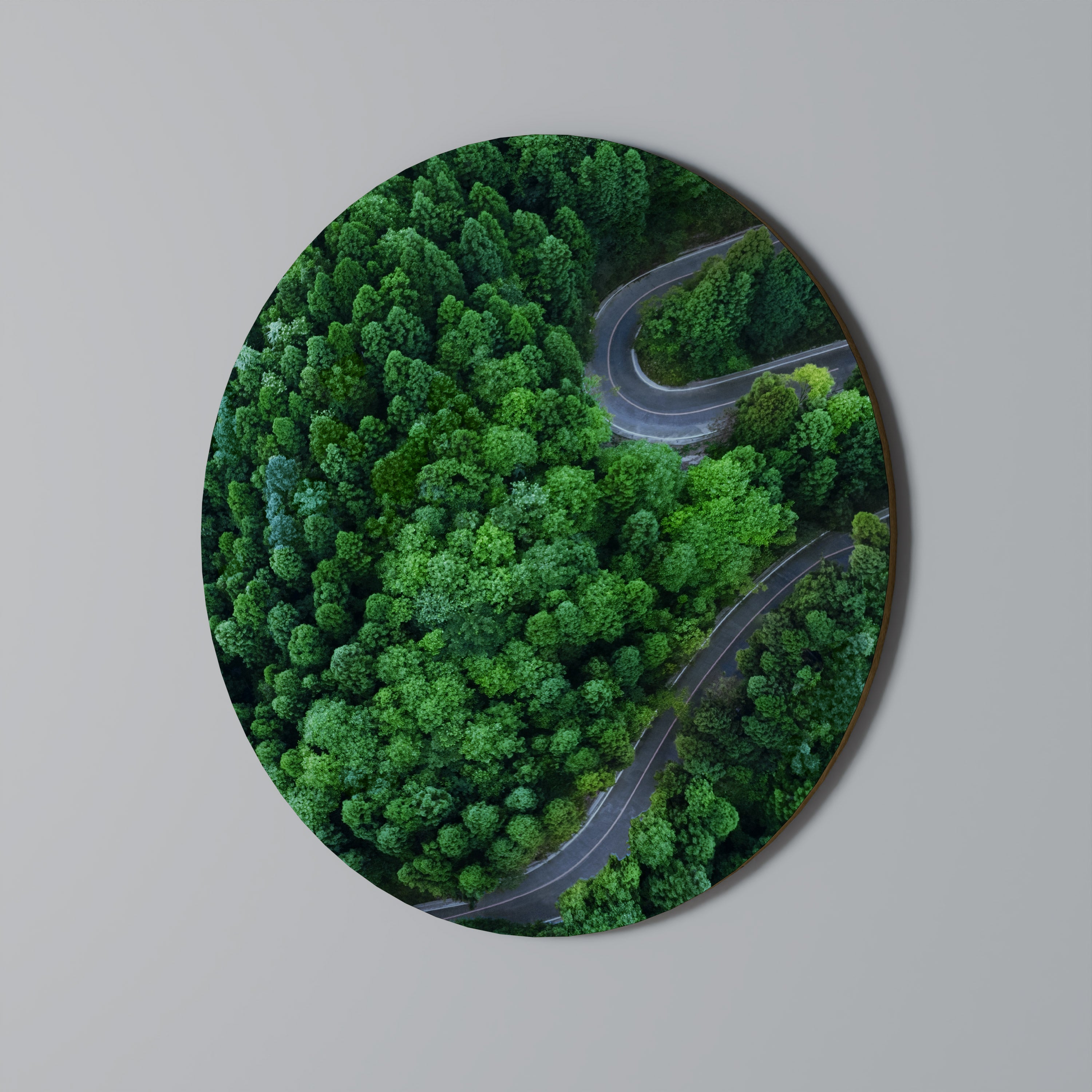 Στρογγυλή Τέχνη Τοίχου ENCHANTED FOREST RIDE