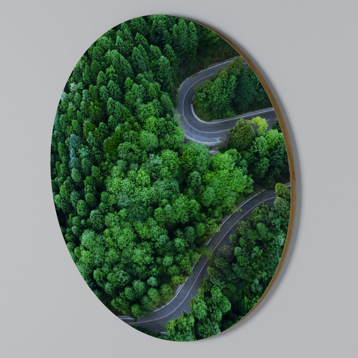 ENCHANTED FOREST RIDE Στρογγυλός πίνακας ζωγραφικής
