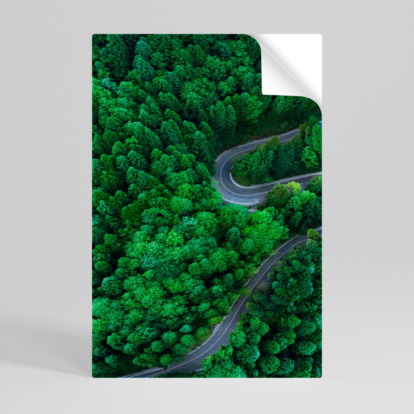 ENCHANTED FOREST RIDE Αυτοκόλλητη Αφίσα κάθετη