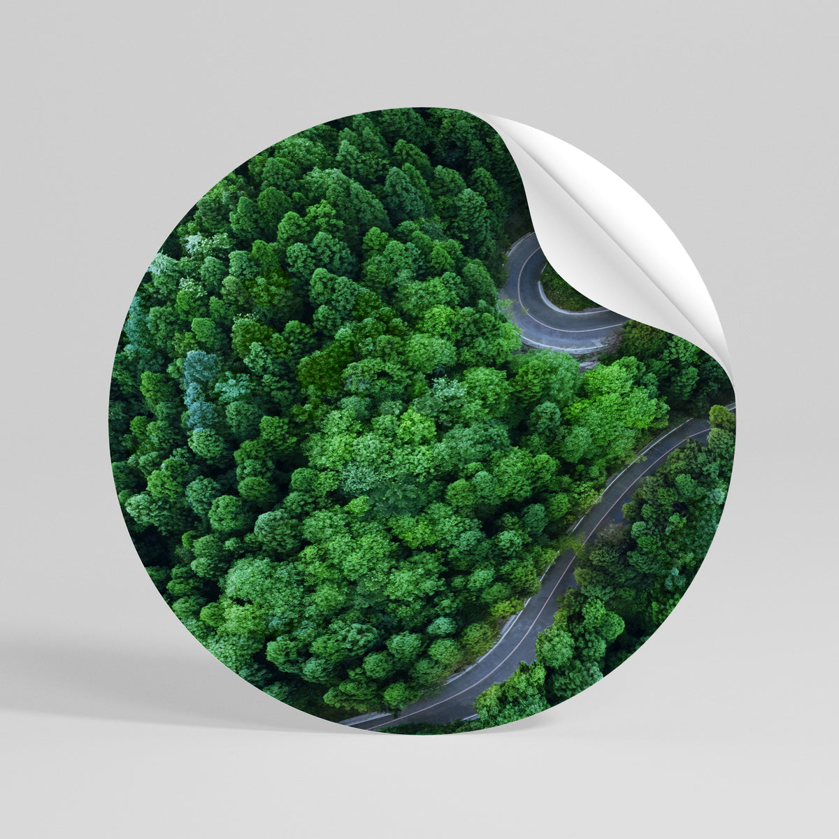 ENCHANTED FOREST RIDE Αυτοκόλλητη Αφίσα στρογγυλή