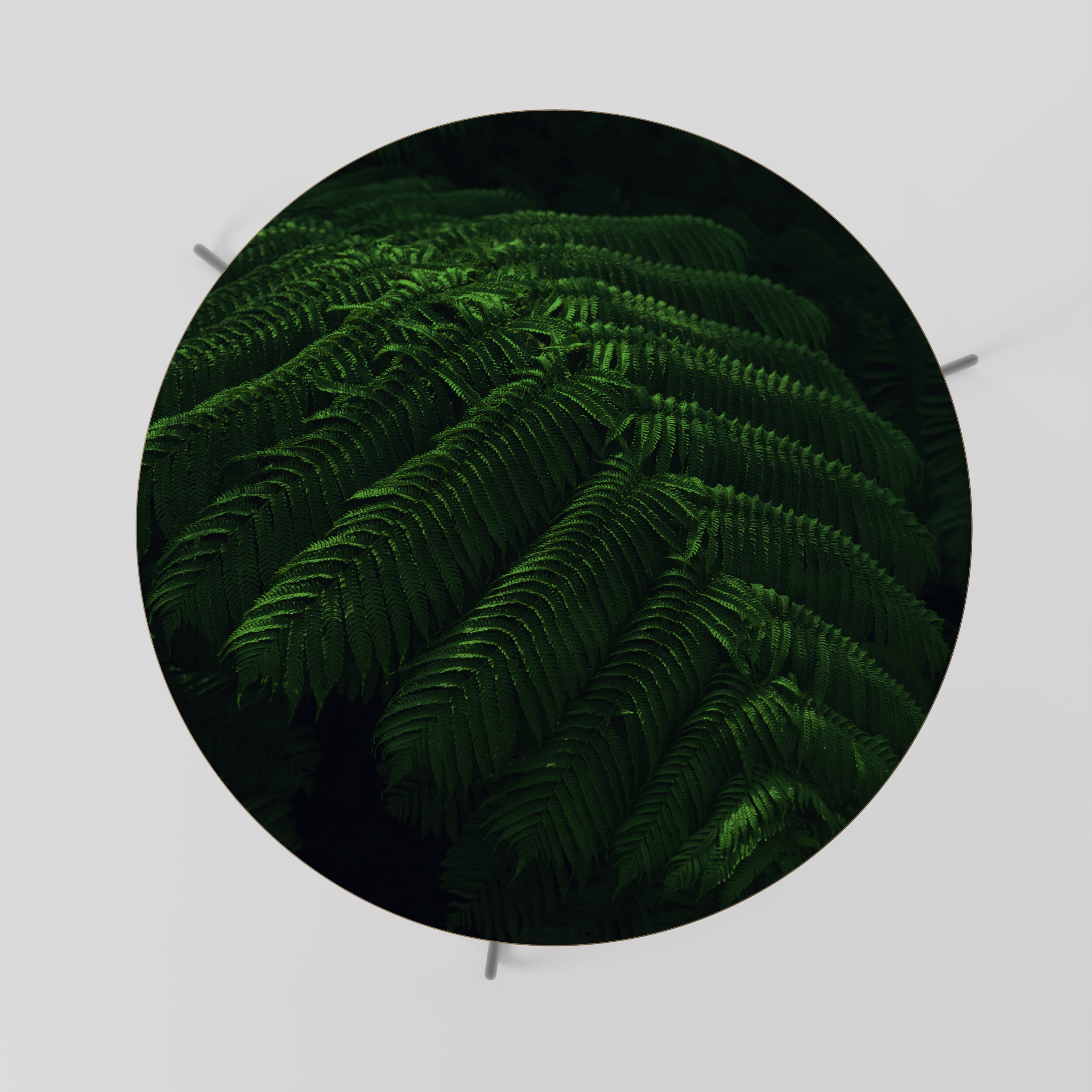 FERN FANTASY Coffee Table 69