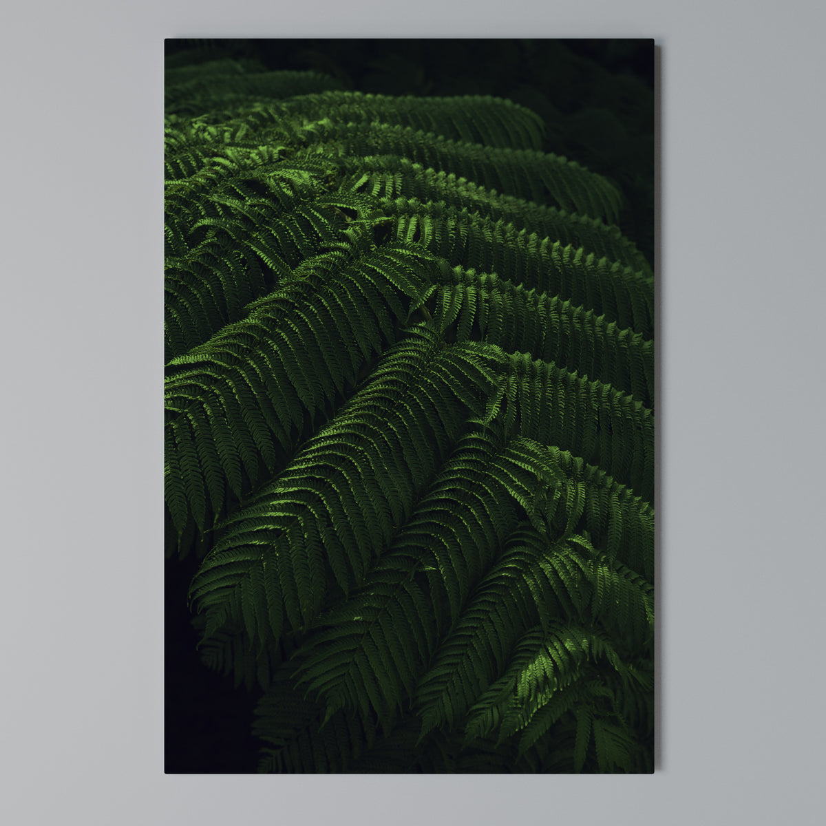 FERN FANTASY Κατακόρυφος Πίνακας σε Καμβά