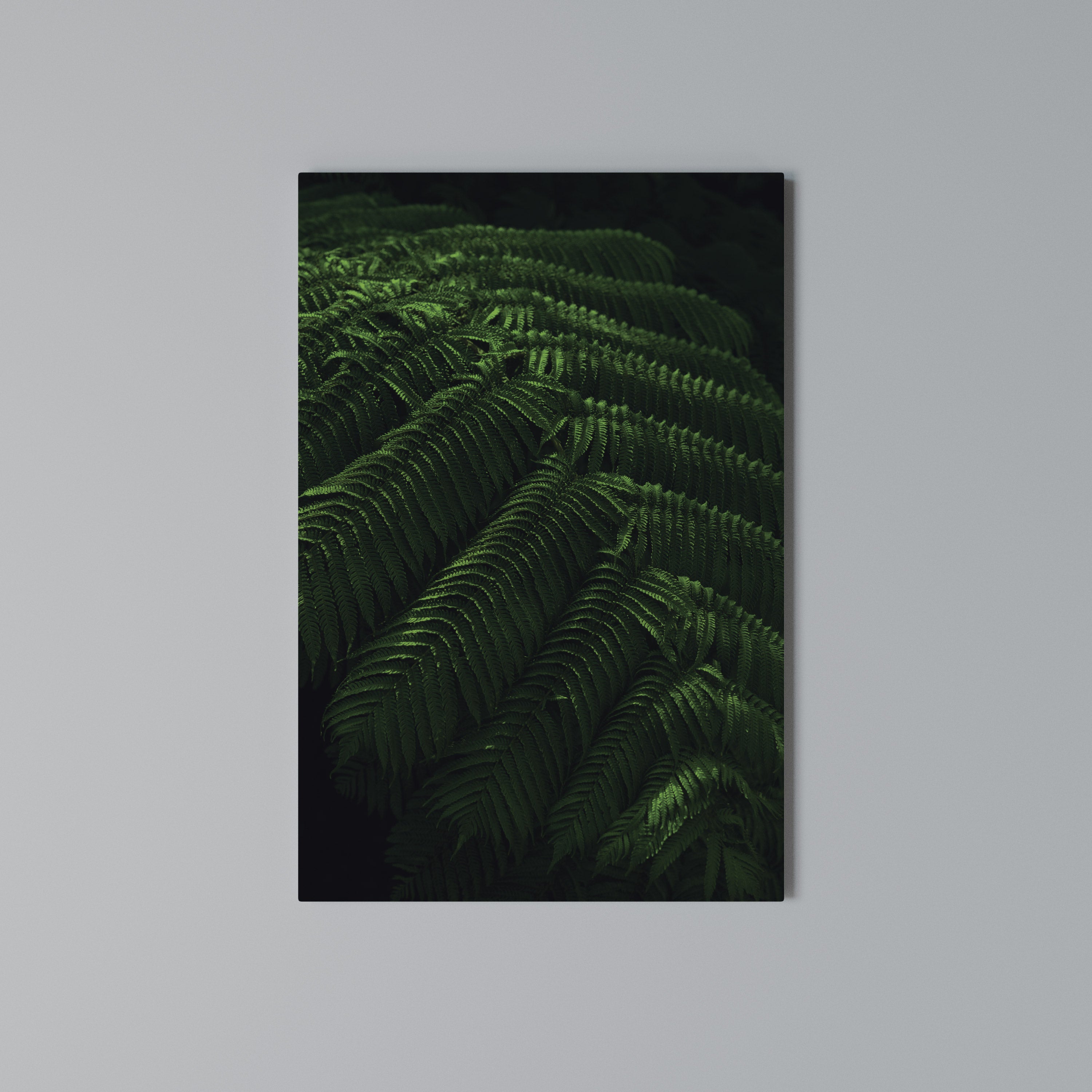 FERN FANTASY Vertical Canvas Print