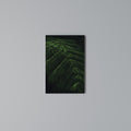 FERN FANTASY Vertical Canvas Print