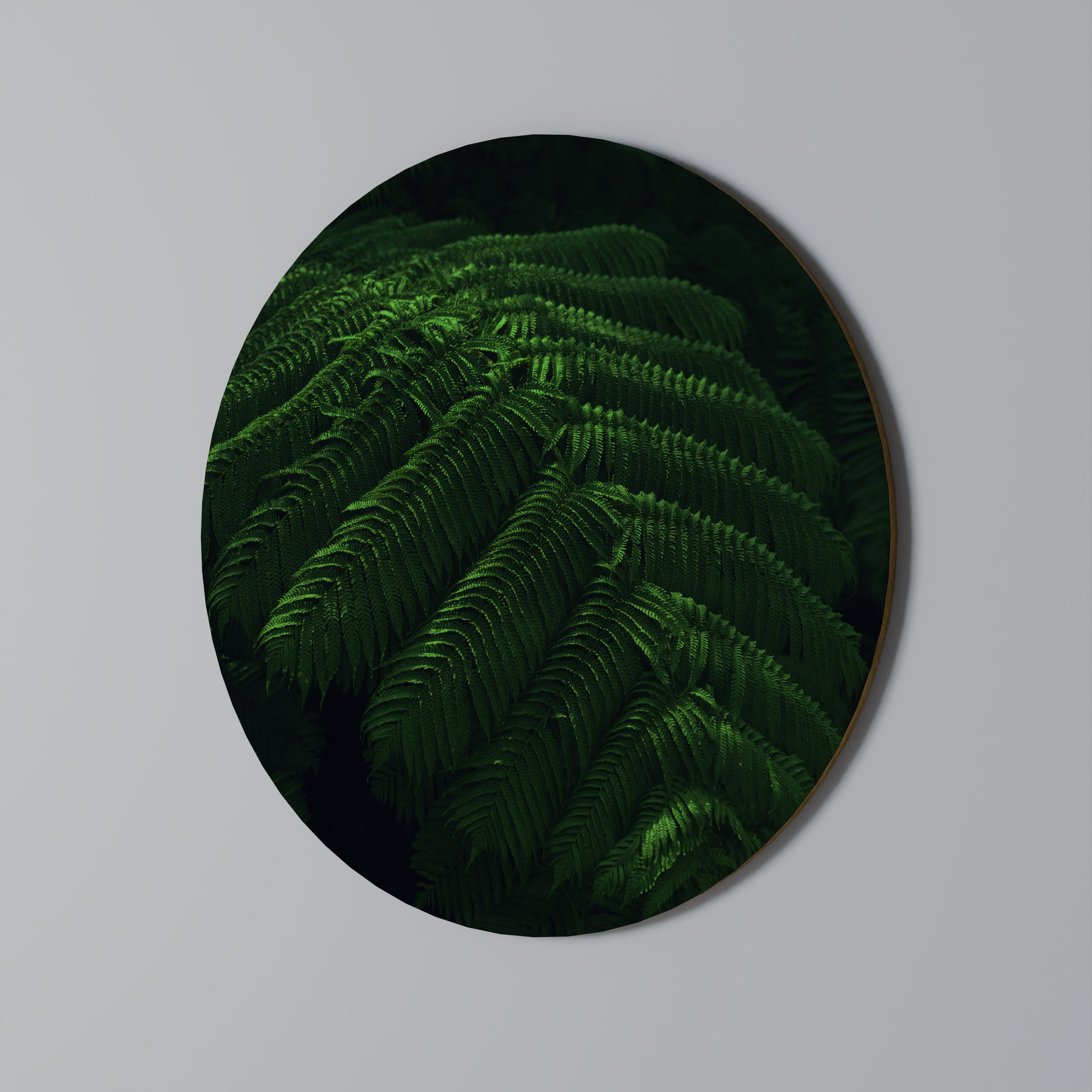 FERN FANTASY Στρογγυλή Τέχνη Τοίχου