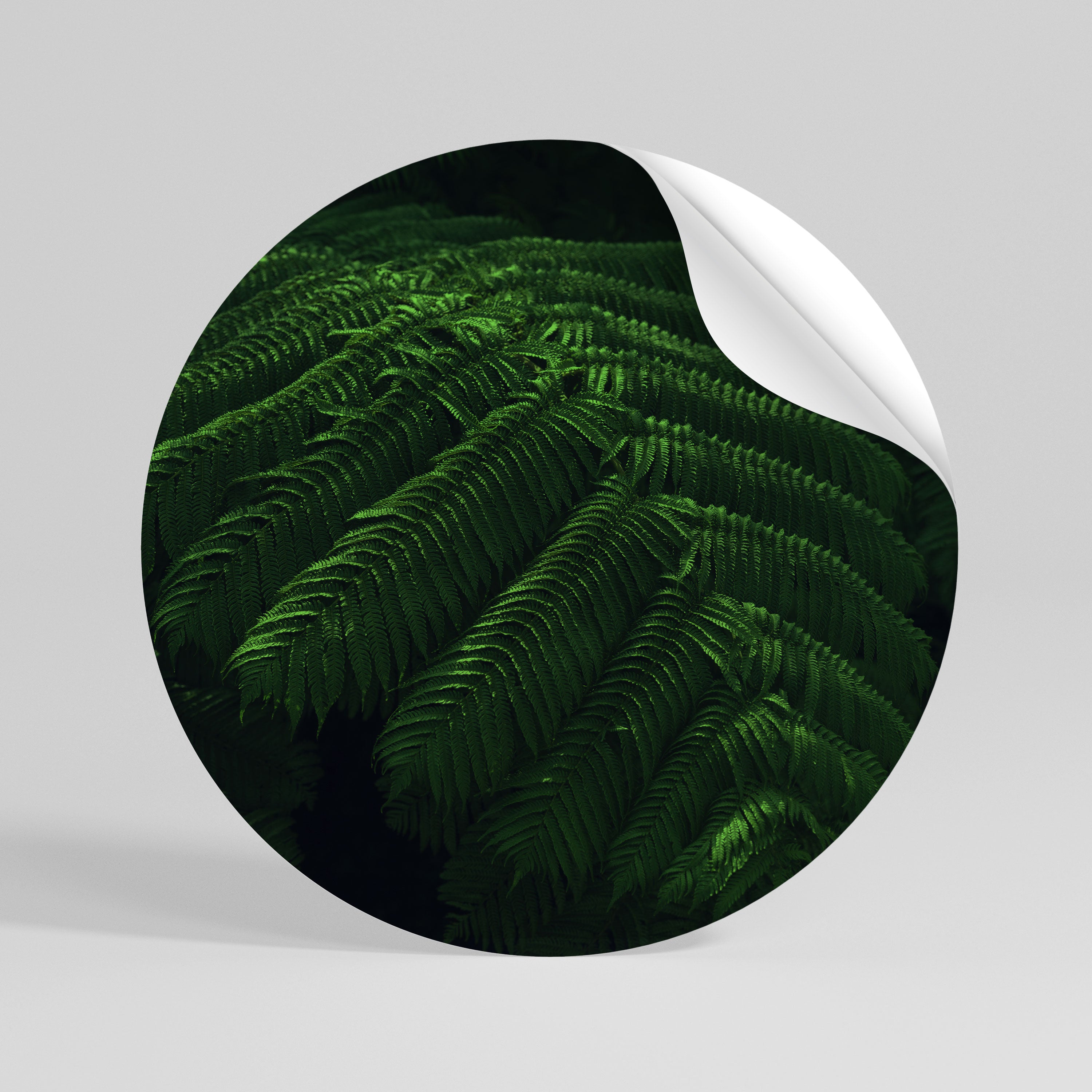 FERN FANTASY Peel and Stick Round Sticker