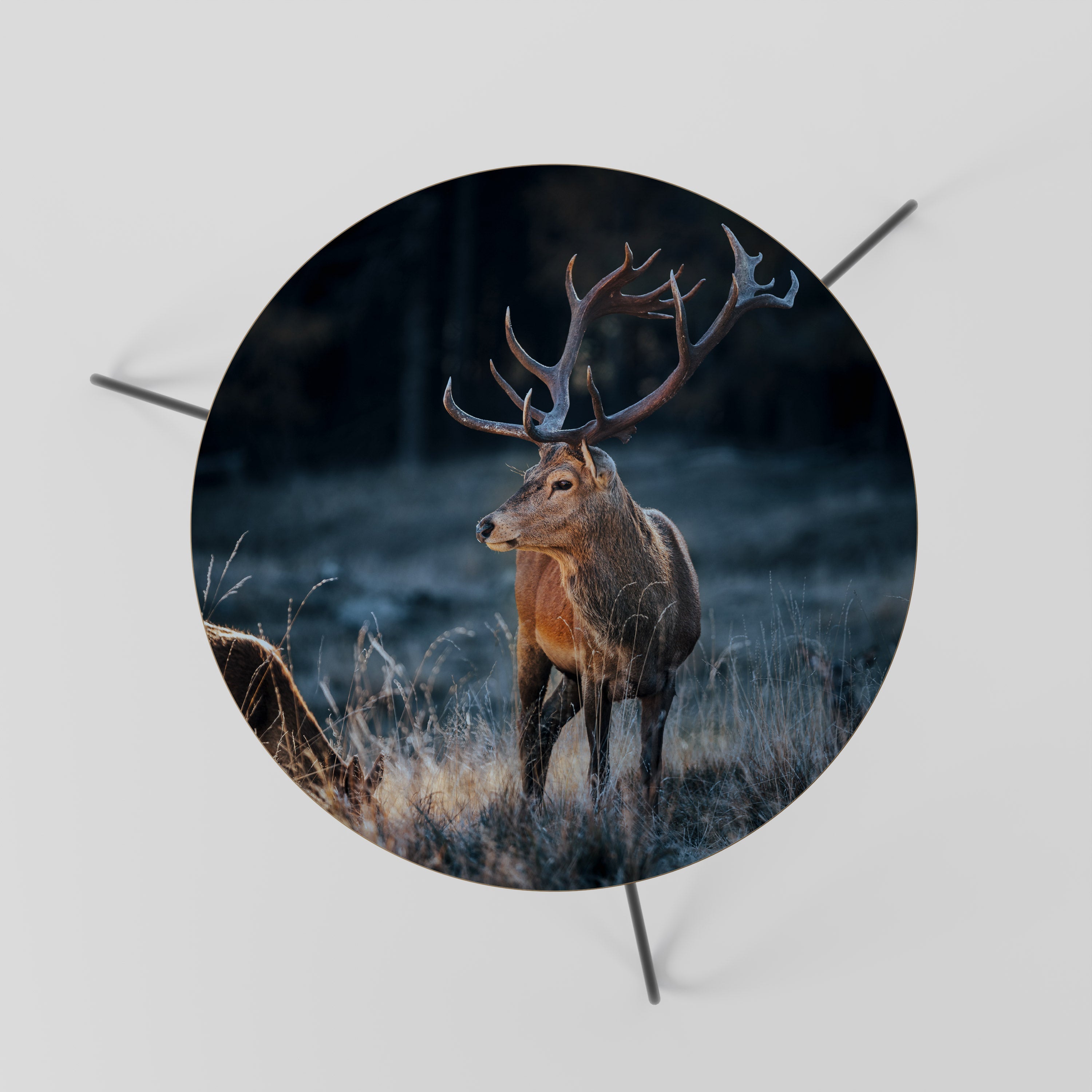 Τραπεζάκι σαλονιού ANTLERED REGALITY 60