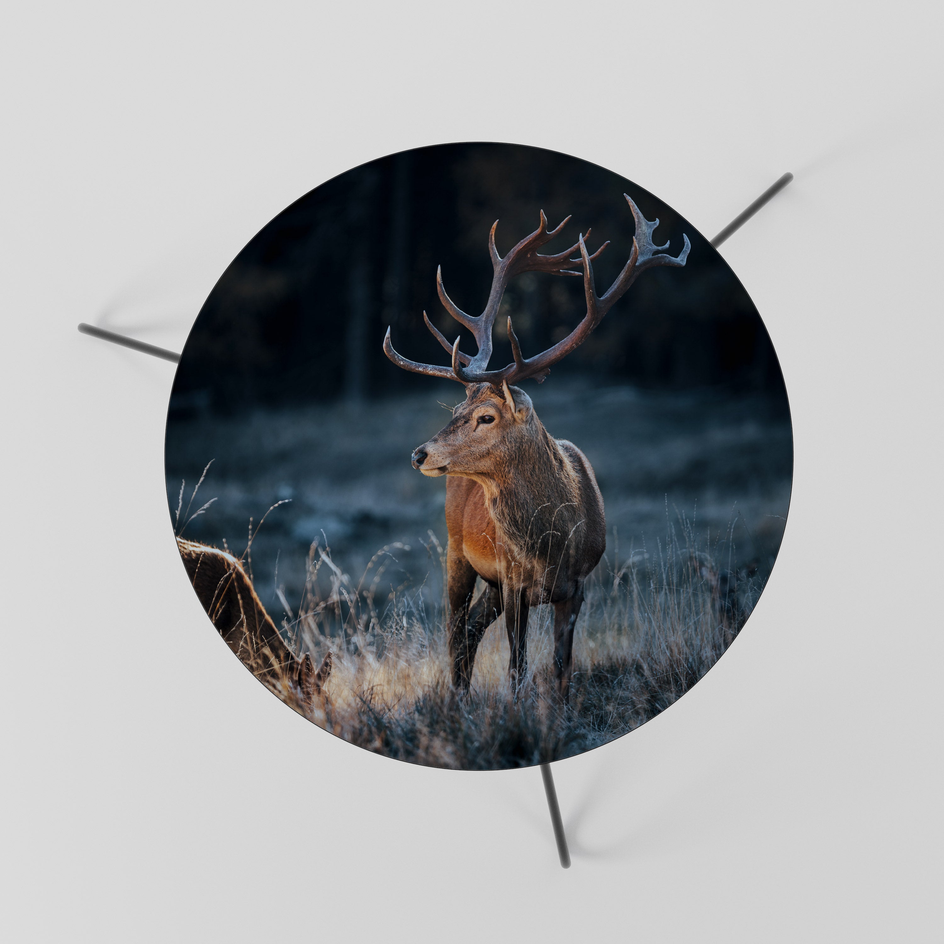 Τραπεζάκι σαλονιού ANTLERED REGALITY 60