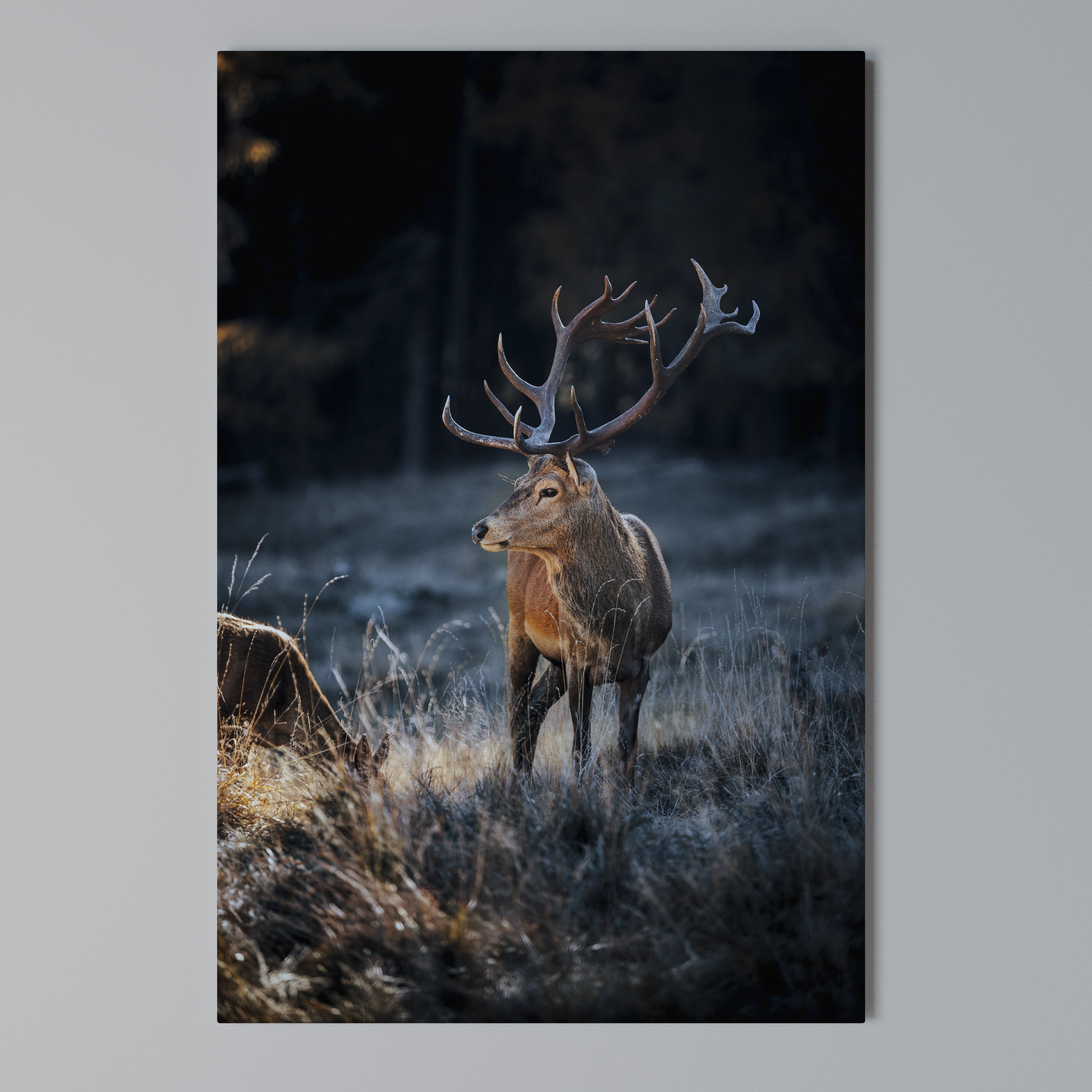 ANTLERED REGALITY Κατακόρυφος Πίνακας σε Καμβά
