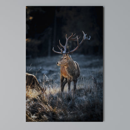ANTLERED REGALITY Κατακόρυφος Πίνακας σε Καμβά