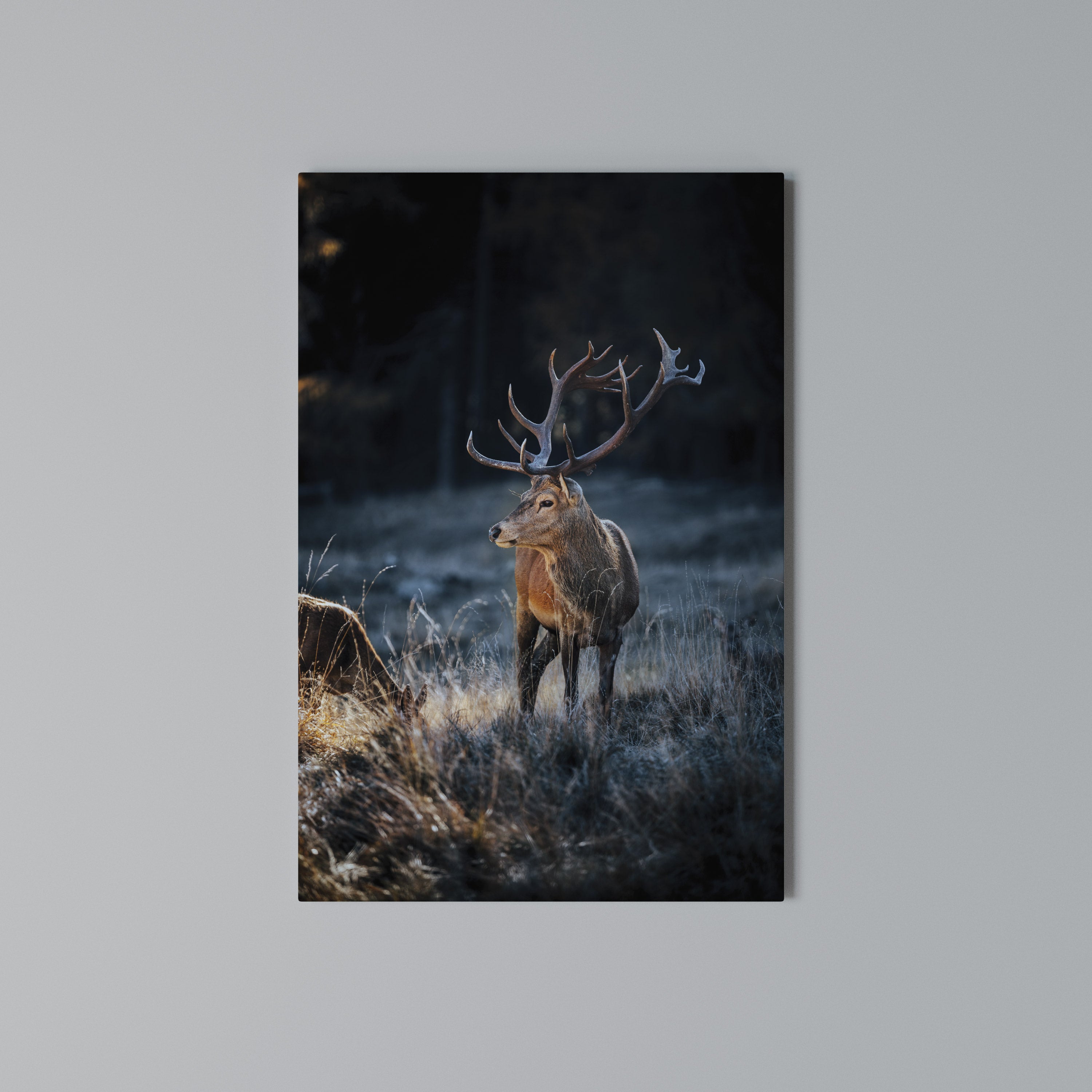 ANTLERED REGALITY Κατακόρυφος Πίνακας σε Καμβά