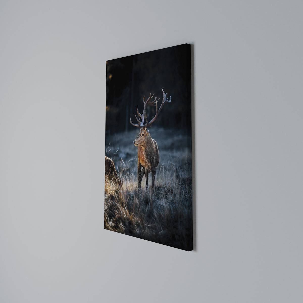ANTLERED REGALITY Κατακόρυφος Πίνακας σε Καμβά