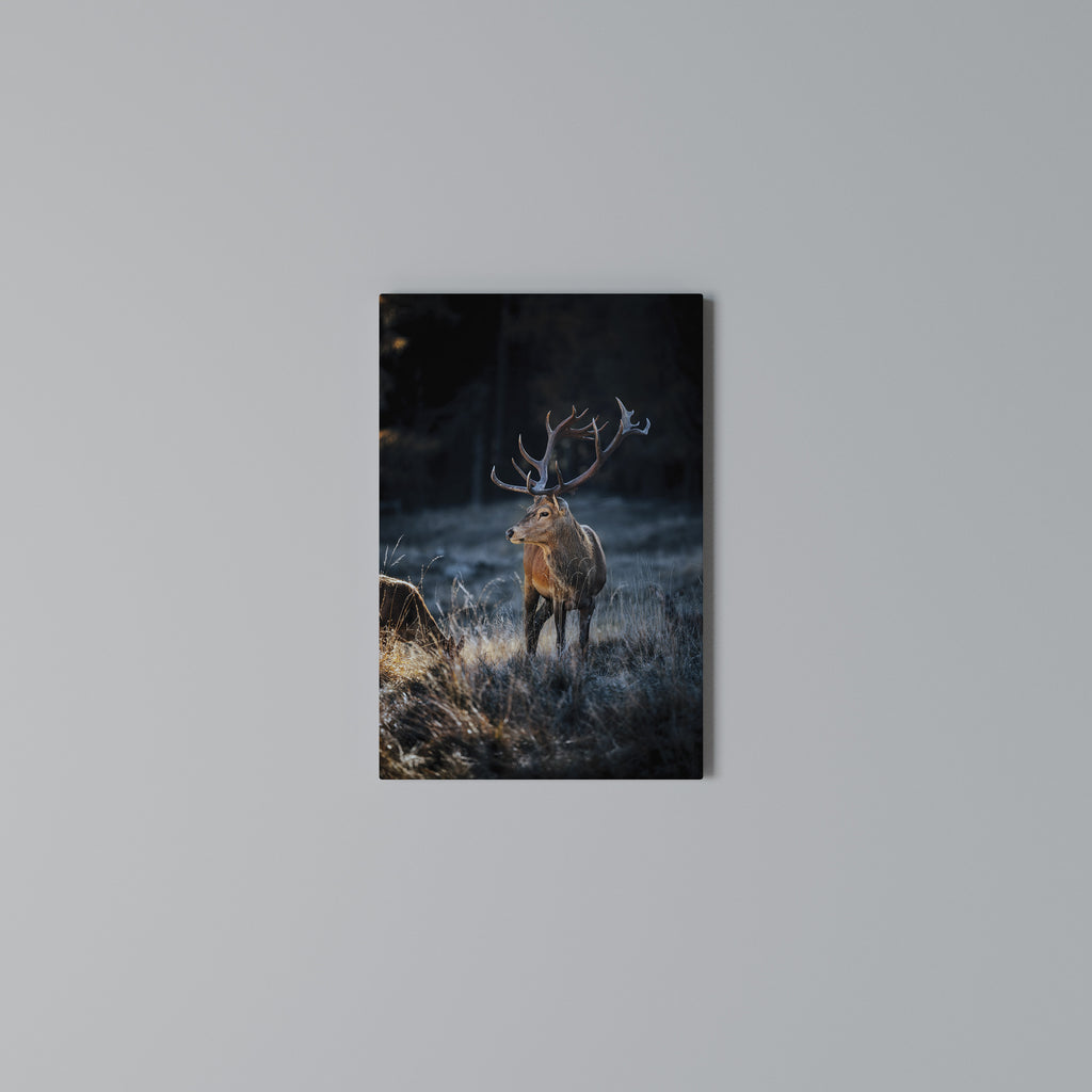 ANTLERED REGALITY Vertical Canvas Print