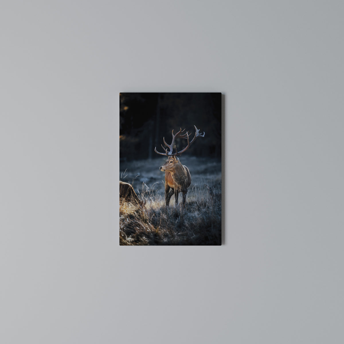 ANTLERED REGALITY Κατακόρυφος Πίνακας σε Καμβά