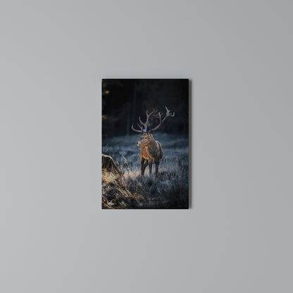 ANTLERED REGALITY Κατακόρυφος Πίνακας σε Καμβά