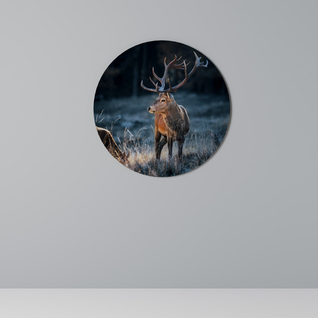 Στρογγυλή Τέχνη Τοίχου ANTLERED REGALITY