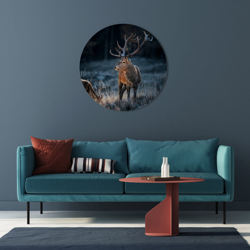 Στρογγυλή Τέχνη Τοίχου ANTLERED REGALITY