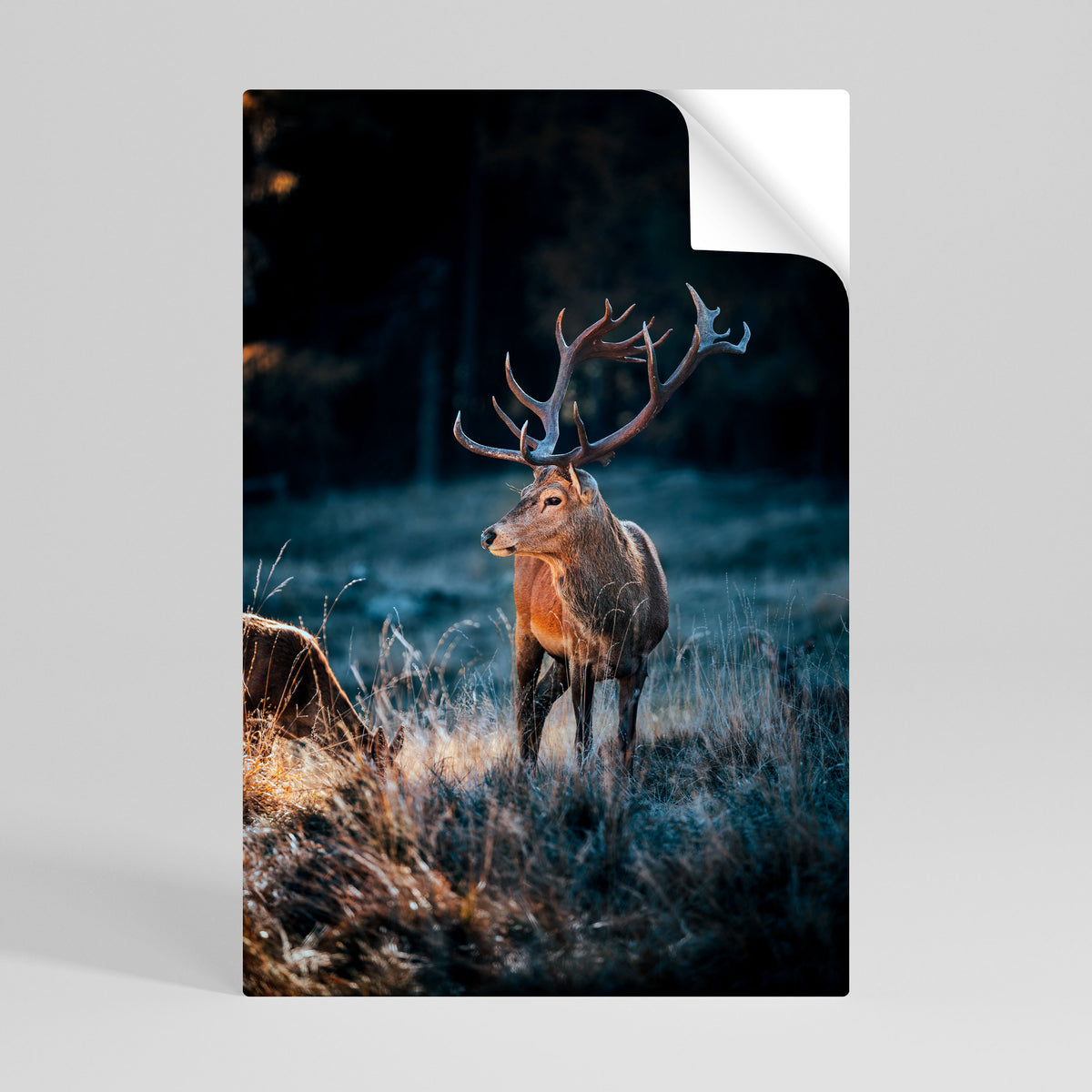ANTLERED REGALITY Αυτοκόλλητη Αφίσα κάθετη