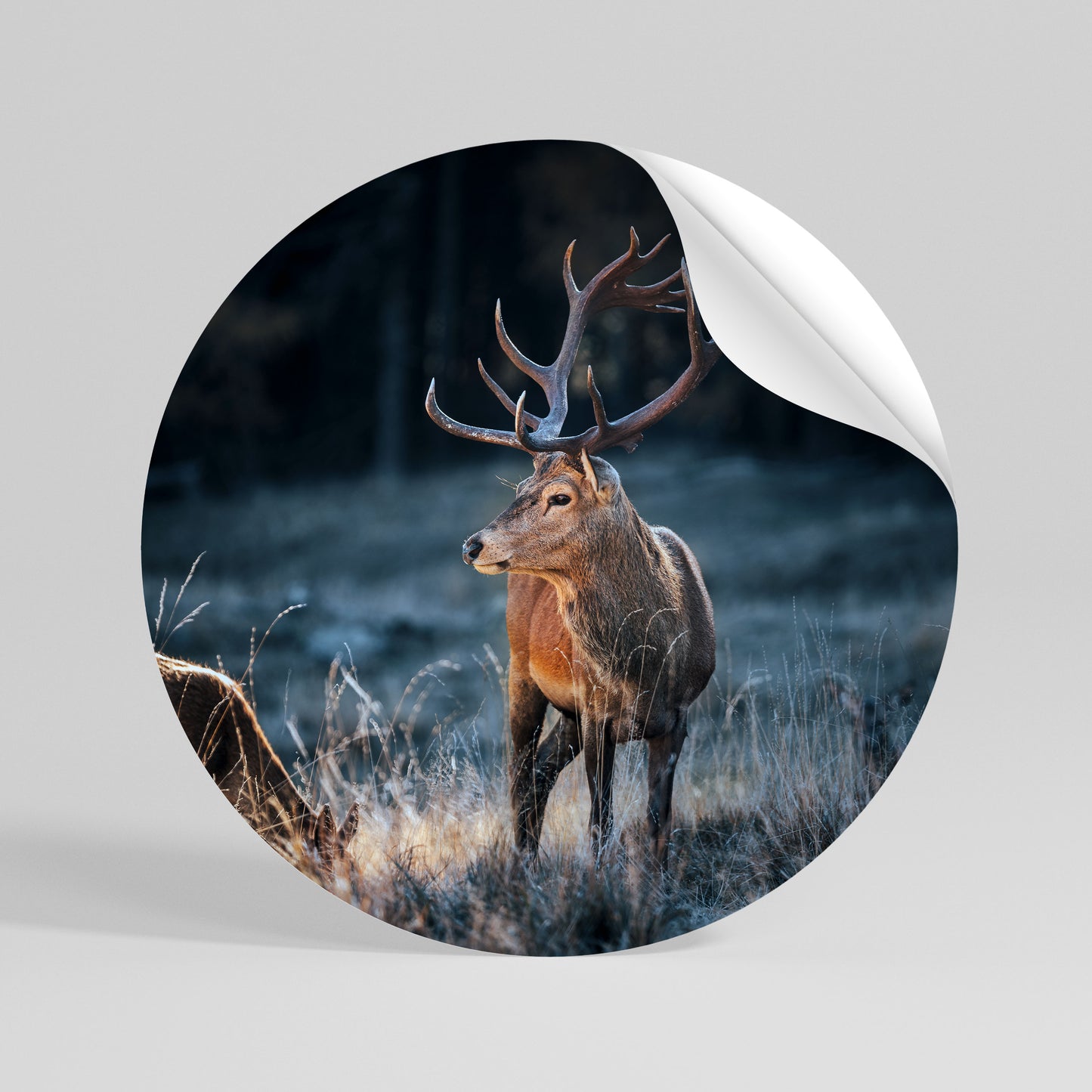 ANTLERED REGALITY Αυτοκόλλητη Αφίσα στρογγυλή