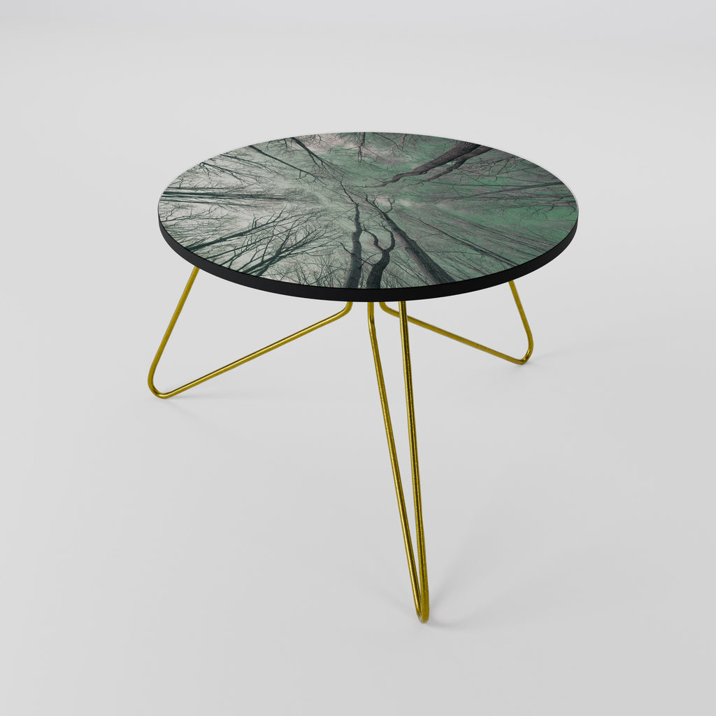 SKYWARD FANTASIES Coffee Table