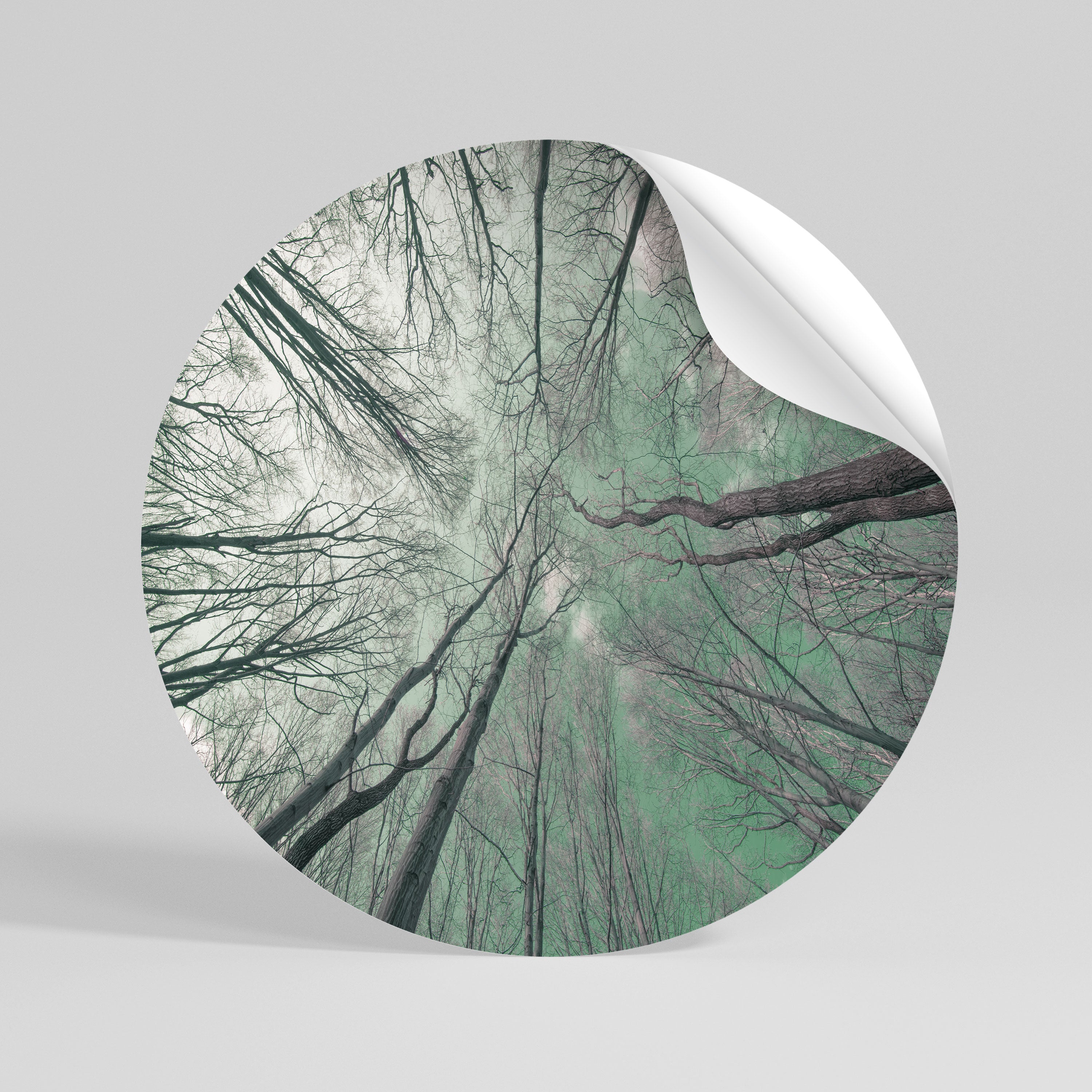 SKYWARD FANTASIES Peel and Stick Round Sticker