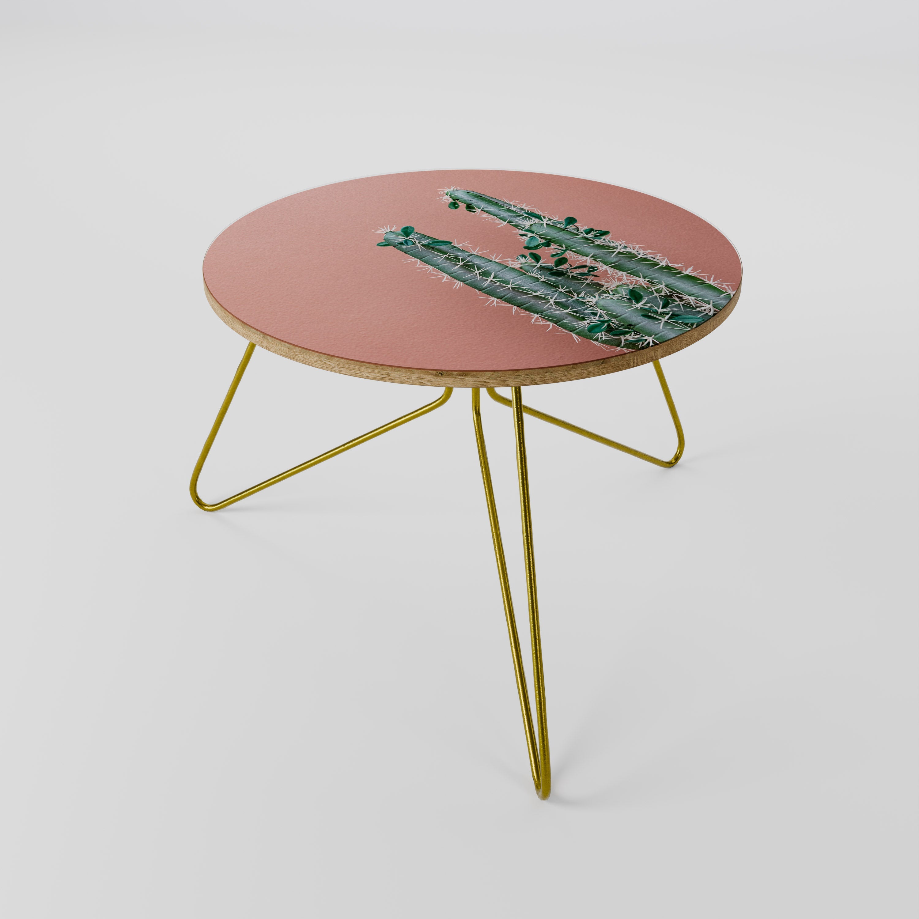 LORD CACTUS Coffee Table 60