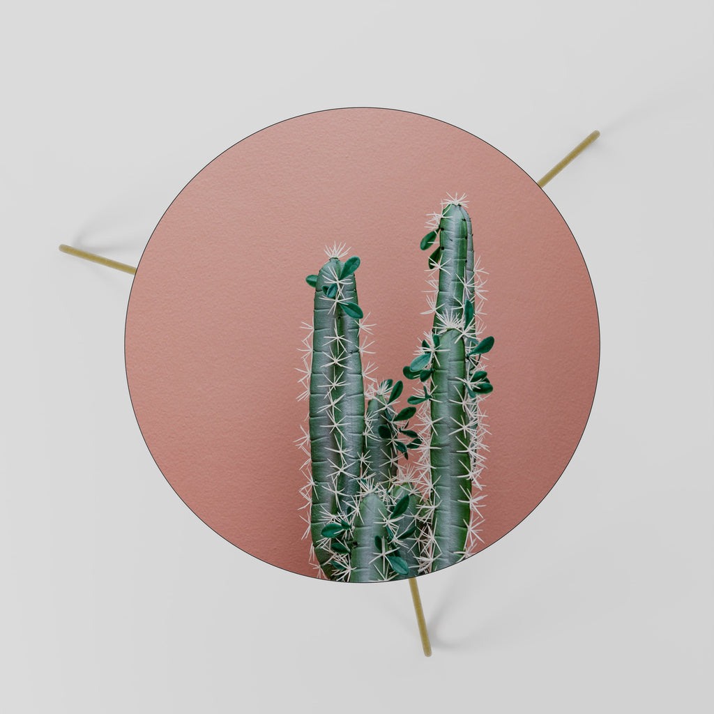 LORD CACTUS Coffee Table 60