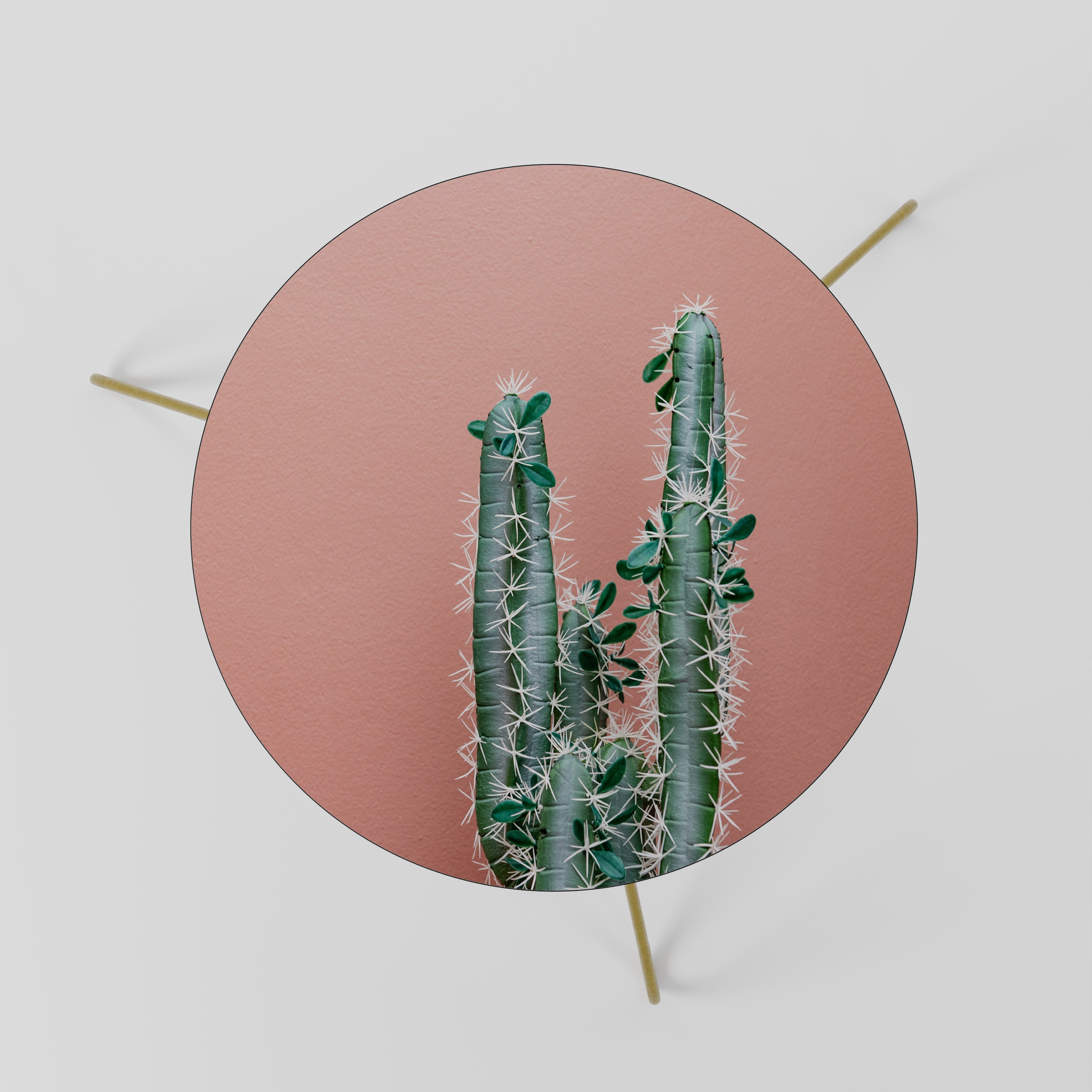 LORD CACTUS Coffee Table 60