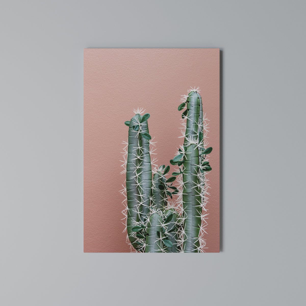 LORD CACTUS Κατακόρυφος Πίνακας σε Καμβά